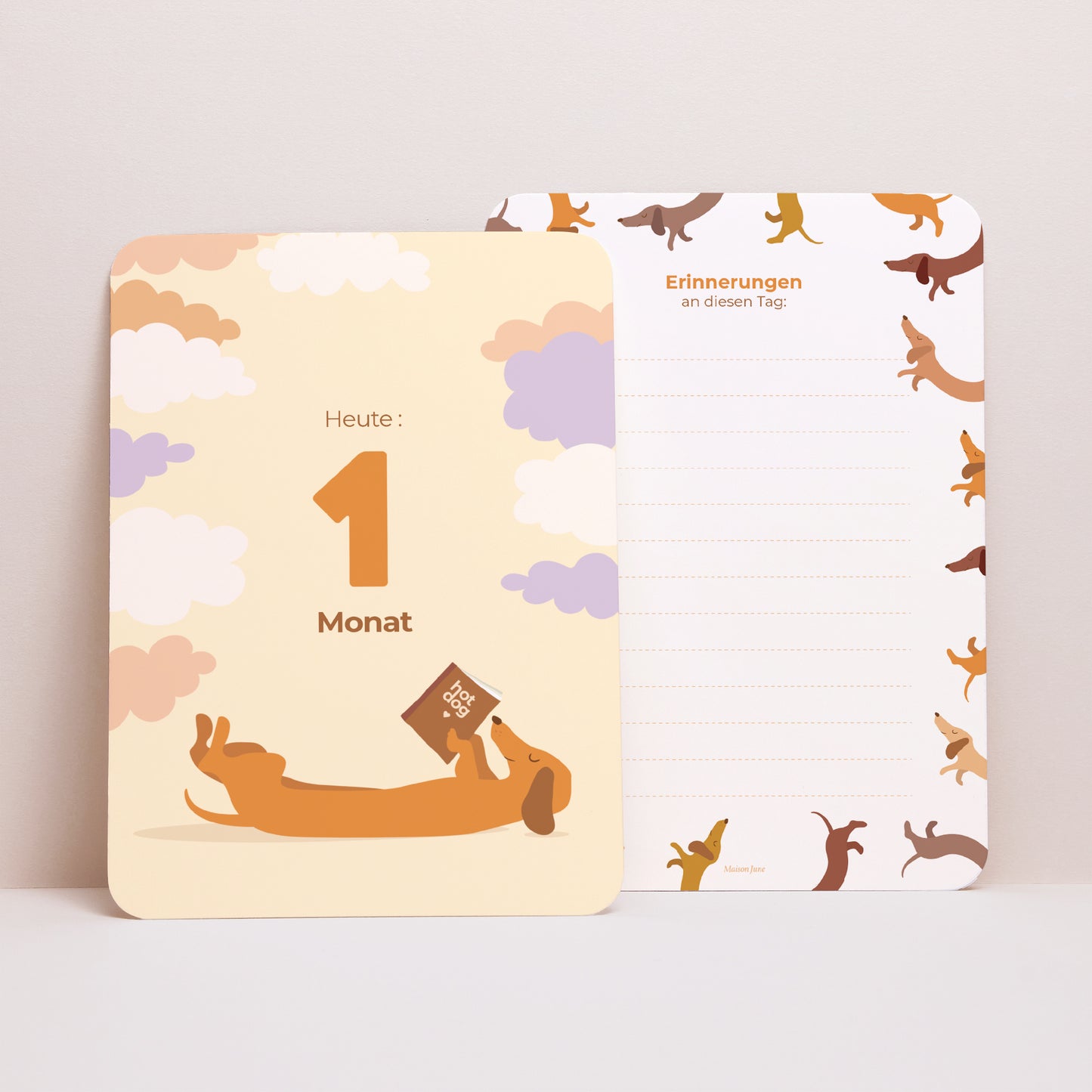 Carte étape bébé Naissance Lot de 12 hot dog colors photo N° 5