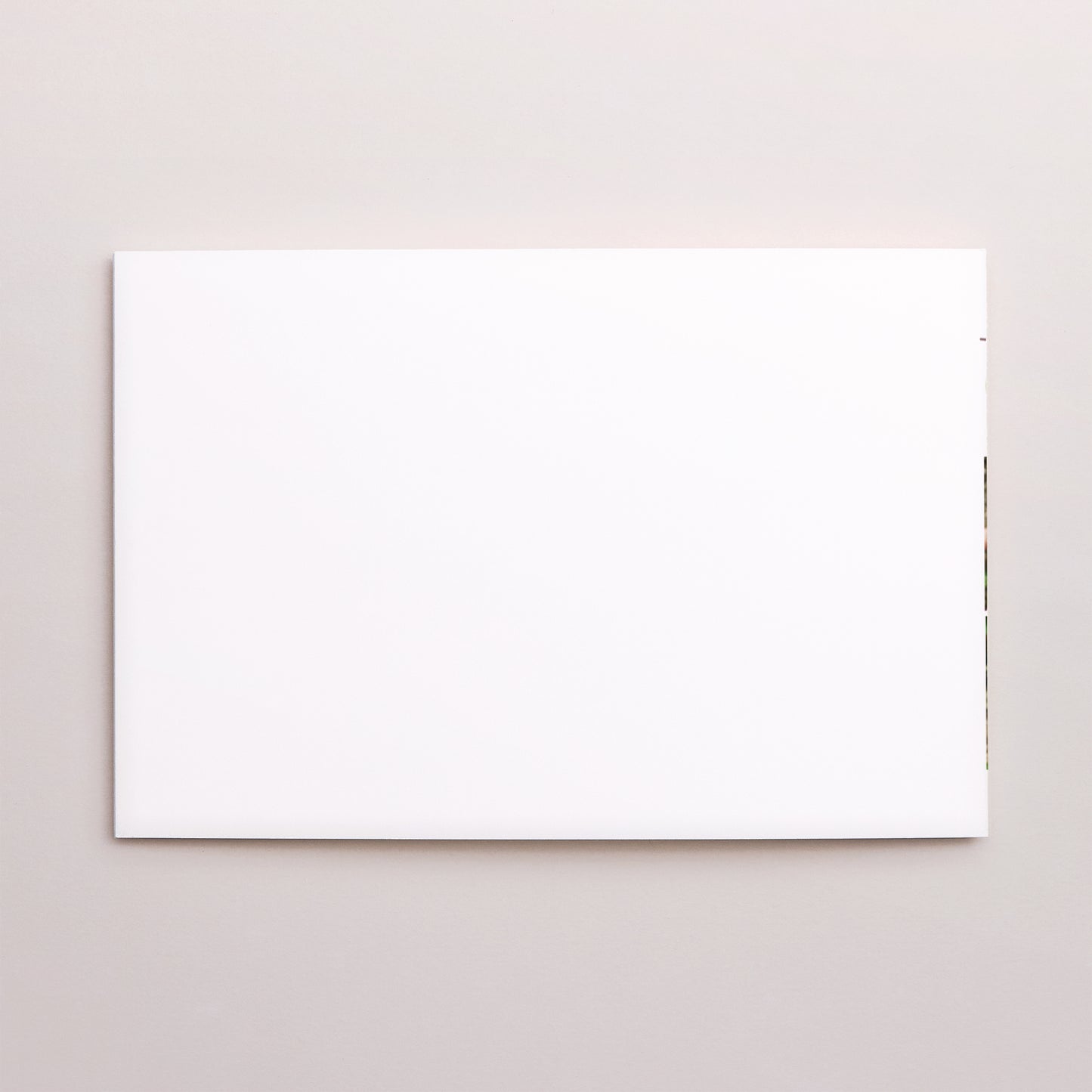 Carte de voeux Fin d'année Double volet paysage Enguirlandé photo N° 3