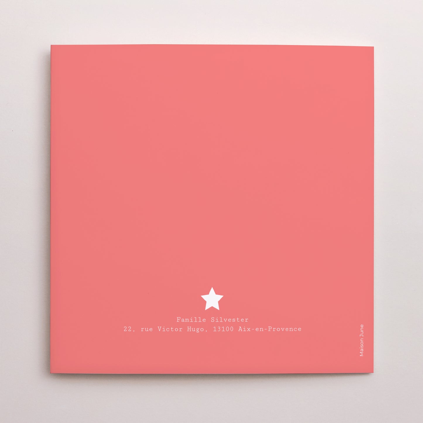 Faire-part Naissance Carré double volet Dans les étoiles photo N° 3