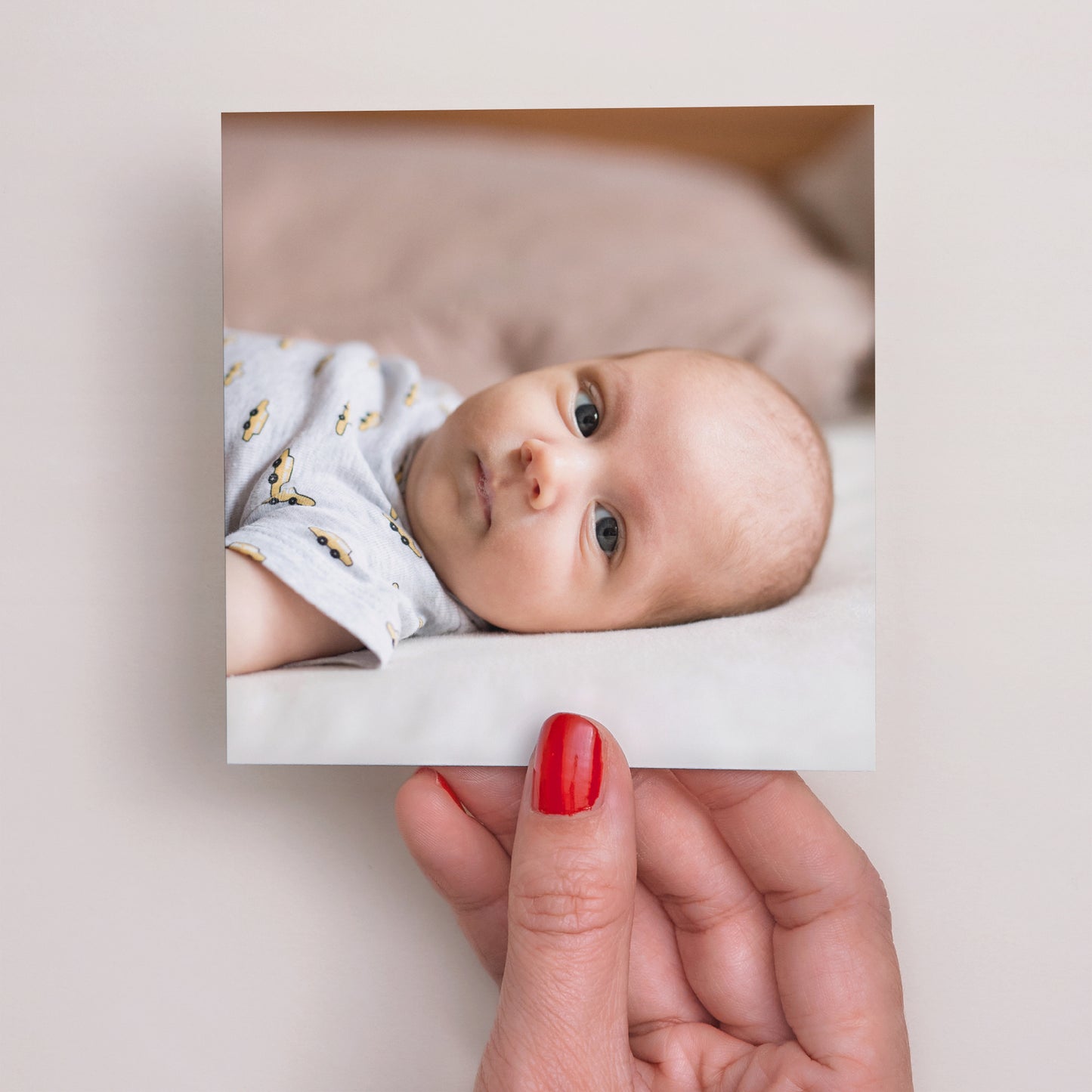 Remerciements Naissance Carré Renardeau photo N° 3