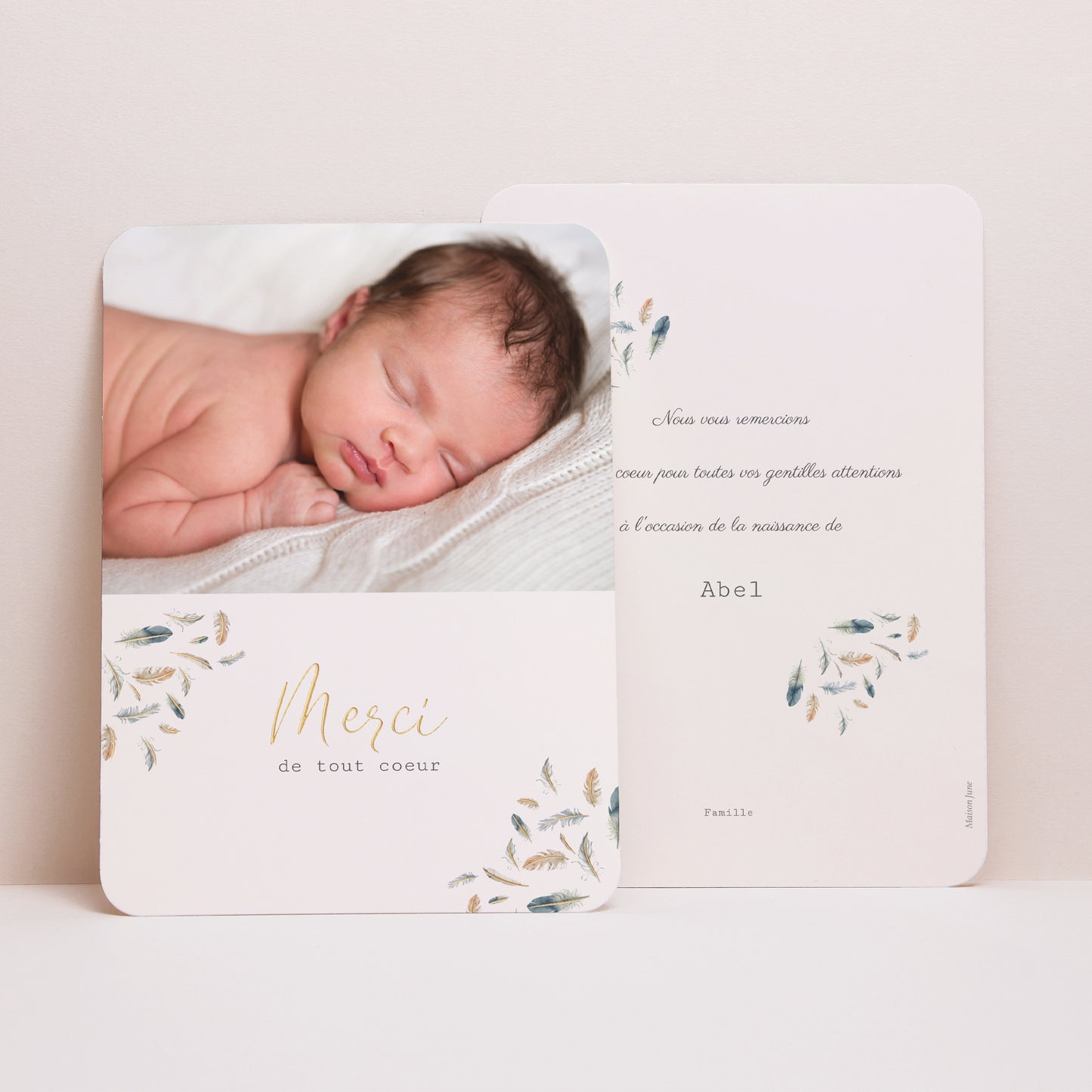 Remerciements Naissance Portrait, bords arrondis Plumes Aquarelle photo N° 1