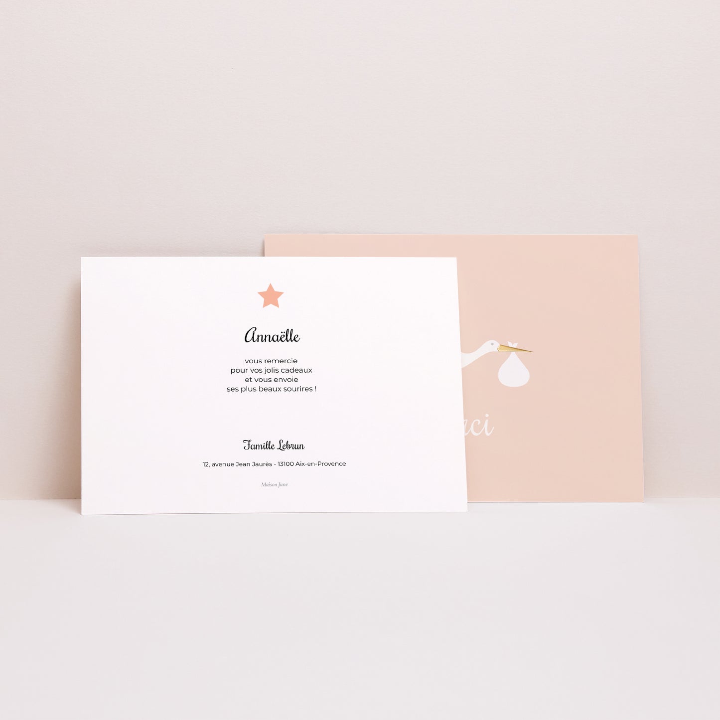 Remerciements Naissance Paysage Cigogne Rose photo N° 2