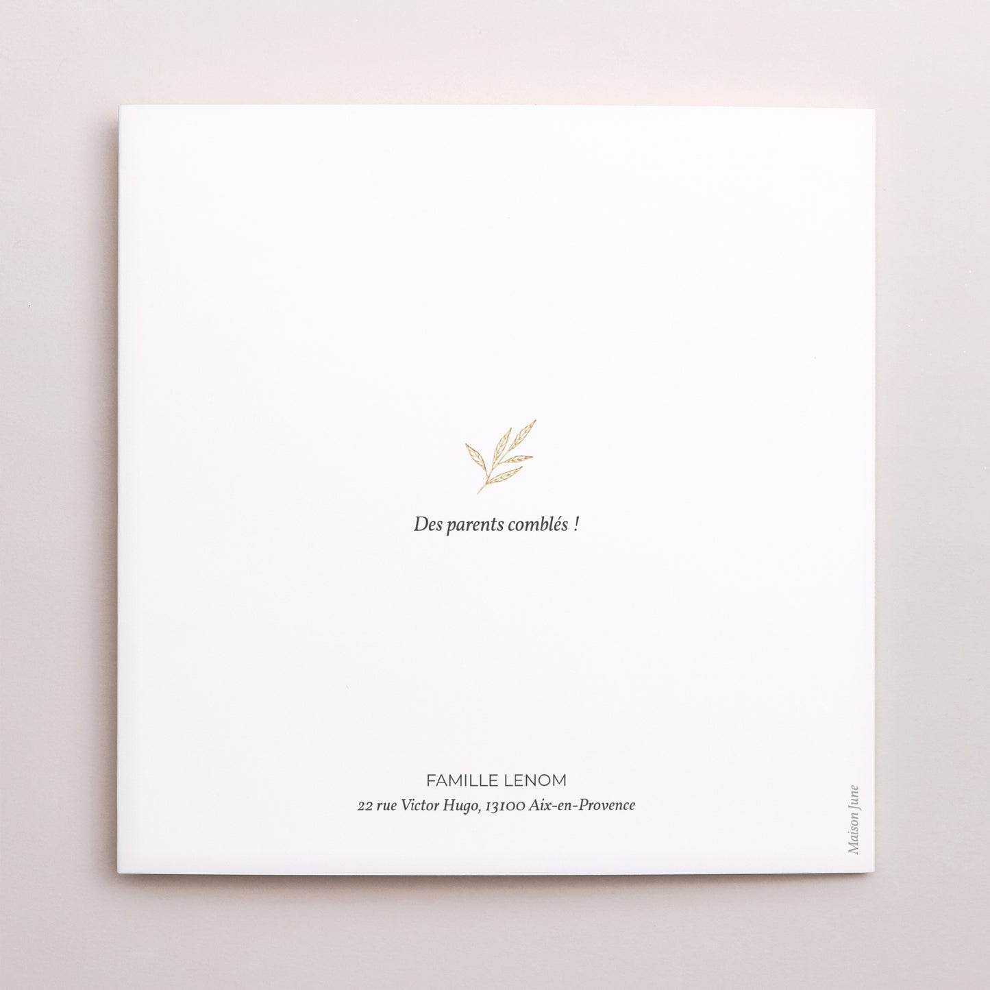 Faire-part Naissance Carré double volet Jolie Pousse photo N° 3