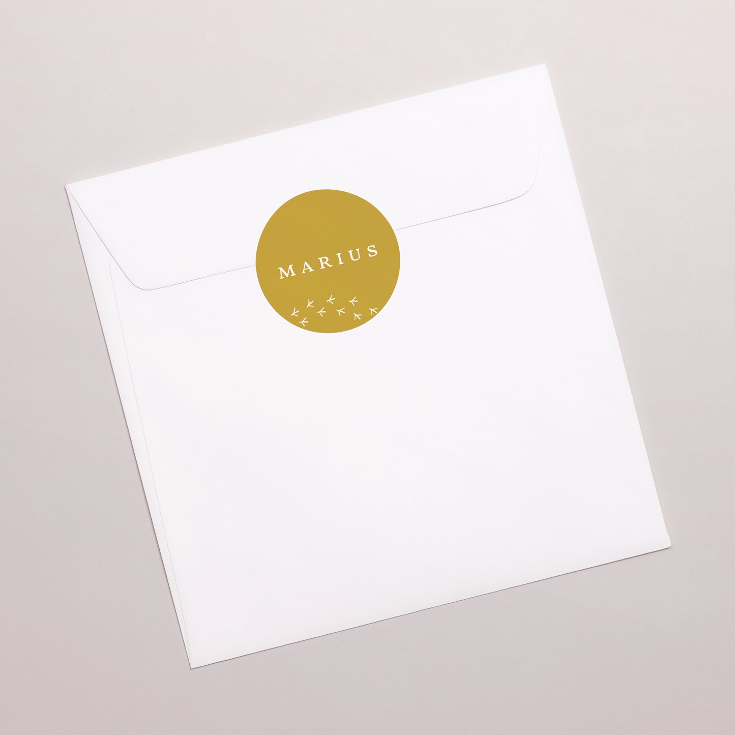 Sticker Naissance Rond Ratons Laveurs photo N° 3