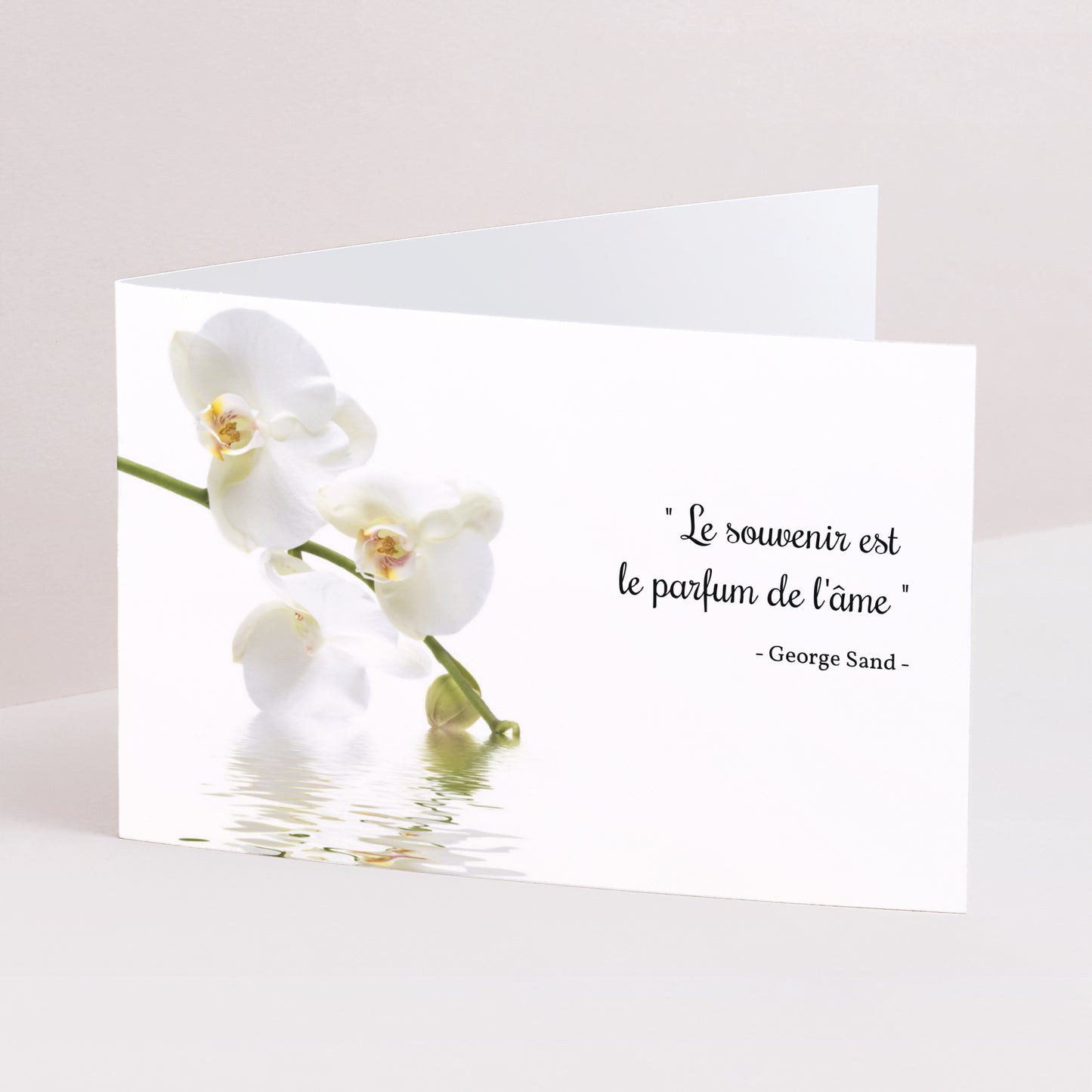 Condoléances Décès Double volet paysage Orchidées, Pureté touchante photo N° 1