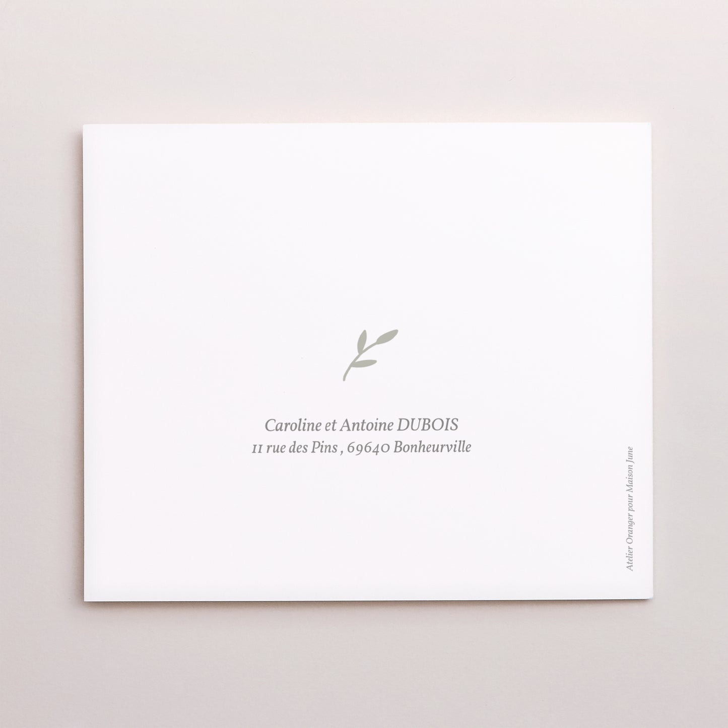 Remerciements Naissance Double volet asymétrique Brin de bonheur, Vert tendre photo N° 3