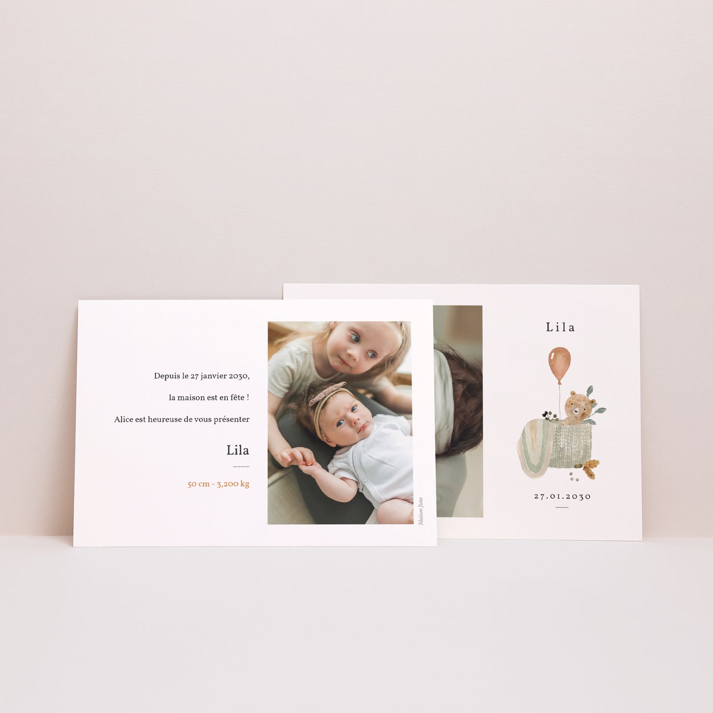 Faire-part Naissance Paysage Ourson Mignon, panier osier & Ballon photo N° 3