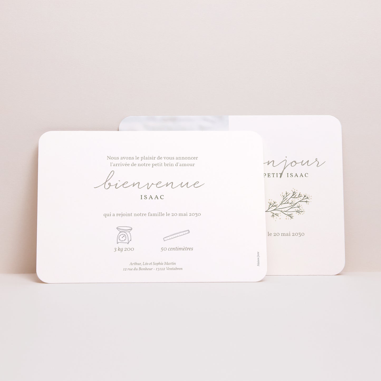 Faire-part Naissance Paysage, bords arrondis Bonjour, Petit brin photo N° 3