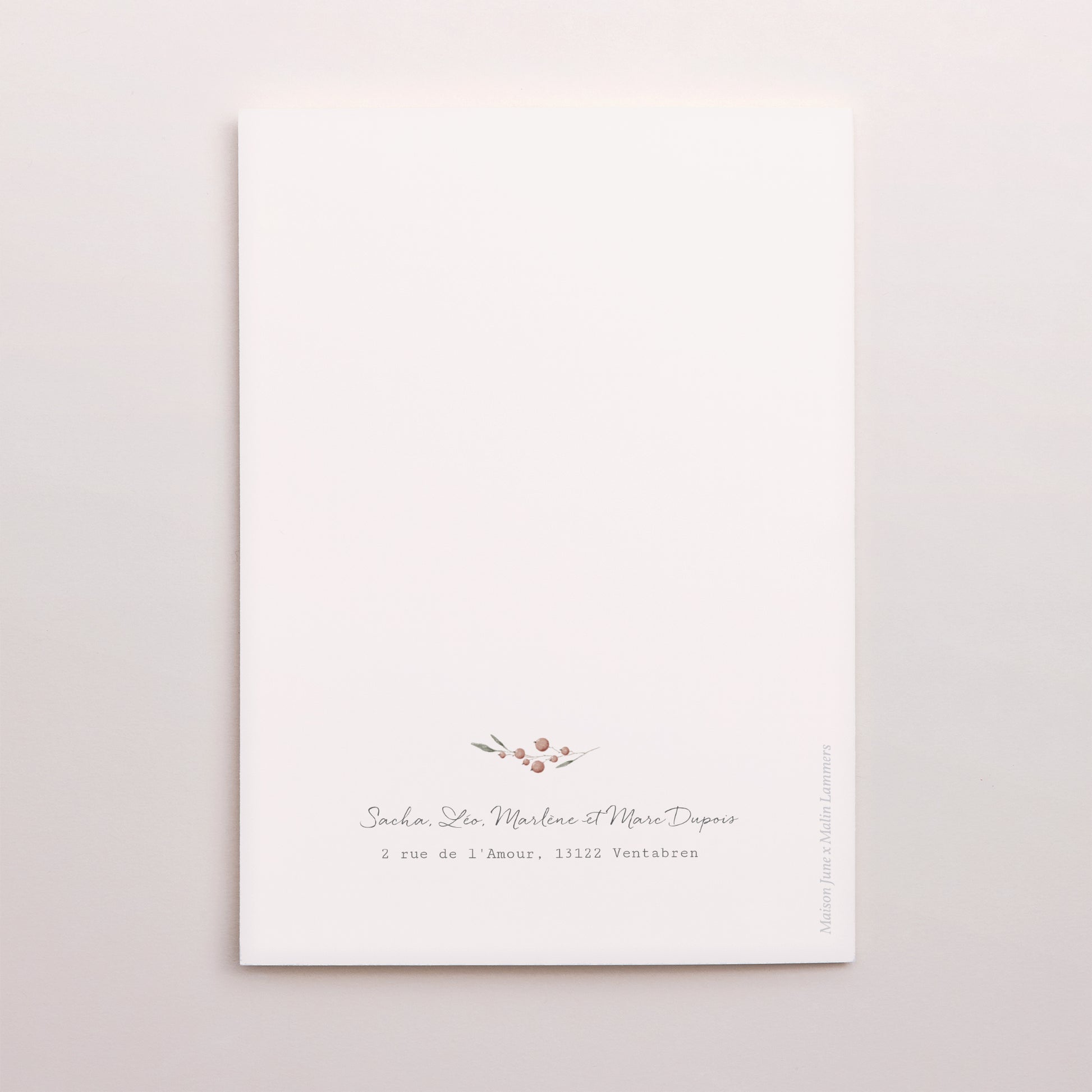 Carte de Noel Fin d'année Portrait double volet Cadeaux Vintage photo N° 3