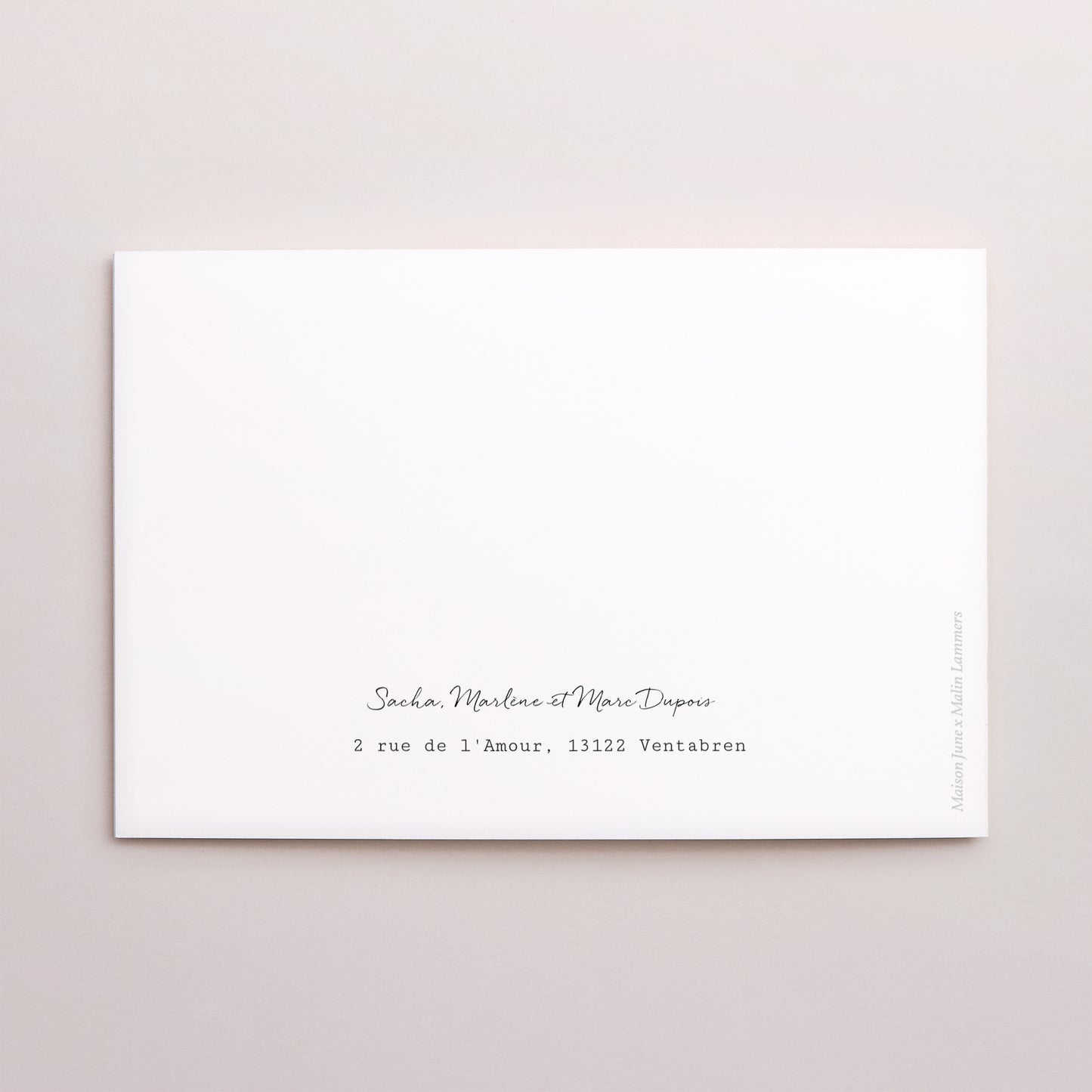 Carte de Noel Fin d'année Double volet paysage Saison de Noël photo N° 3