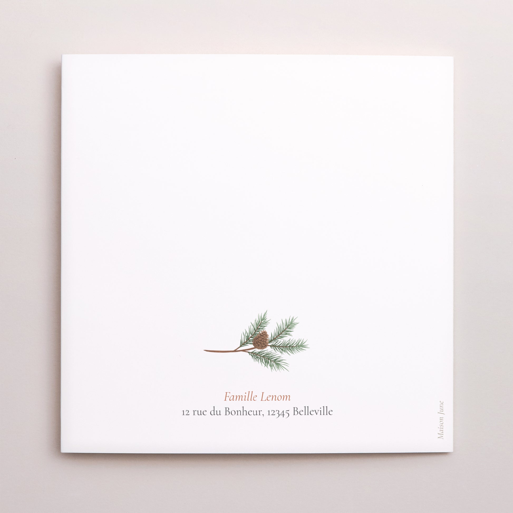 Carte de Noel Fin d'année Carré double volet Branches de sapin de Noël photo N° 3