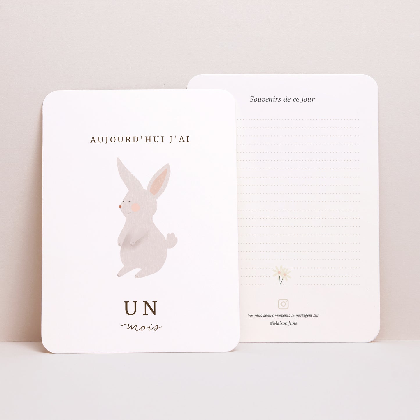 Carte étape bébé Naissance Lot de 12 Lapin fruité photo N° 4