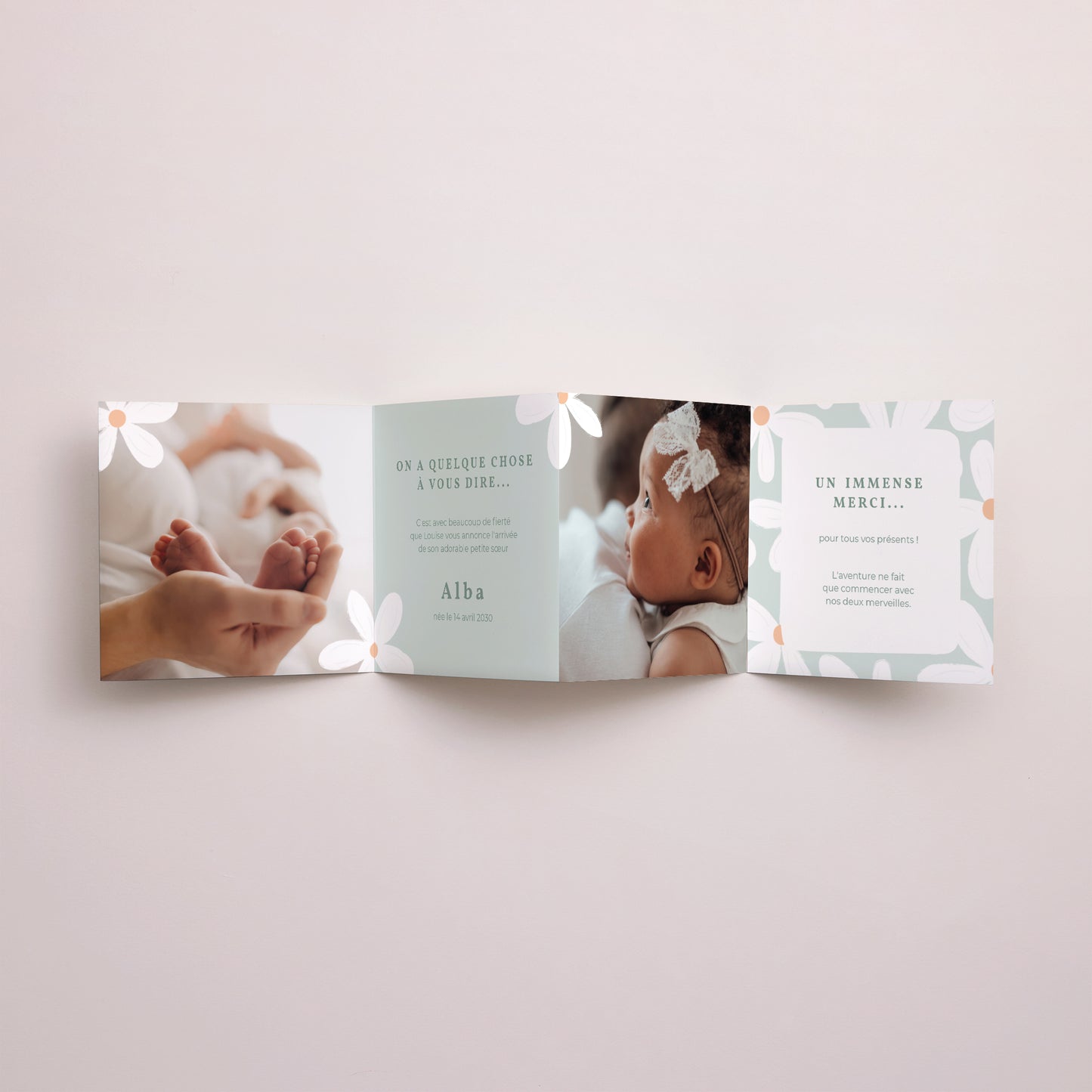 Faire-part Naissance Accordéon Marguerites bleues photo N° 3