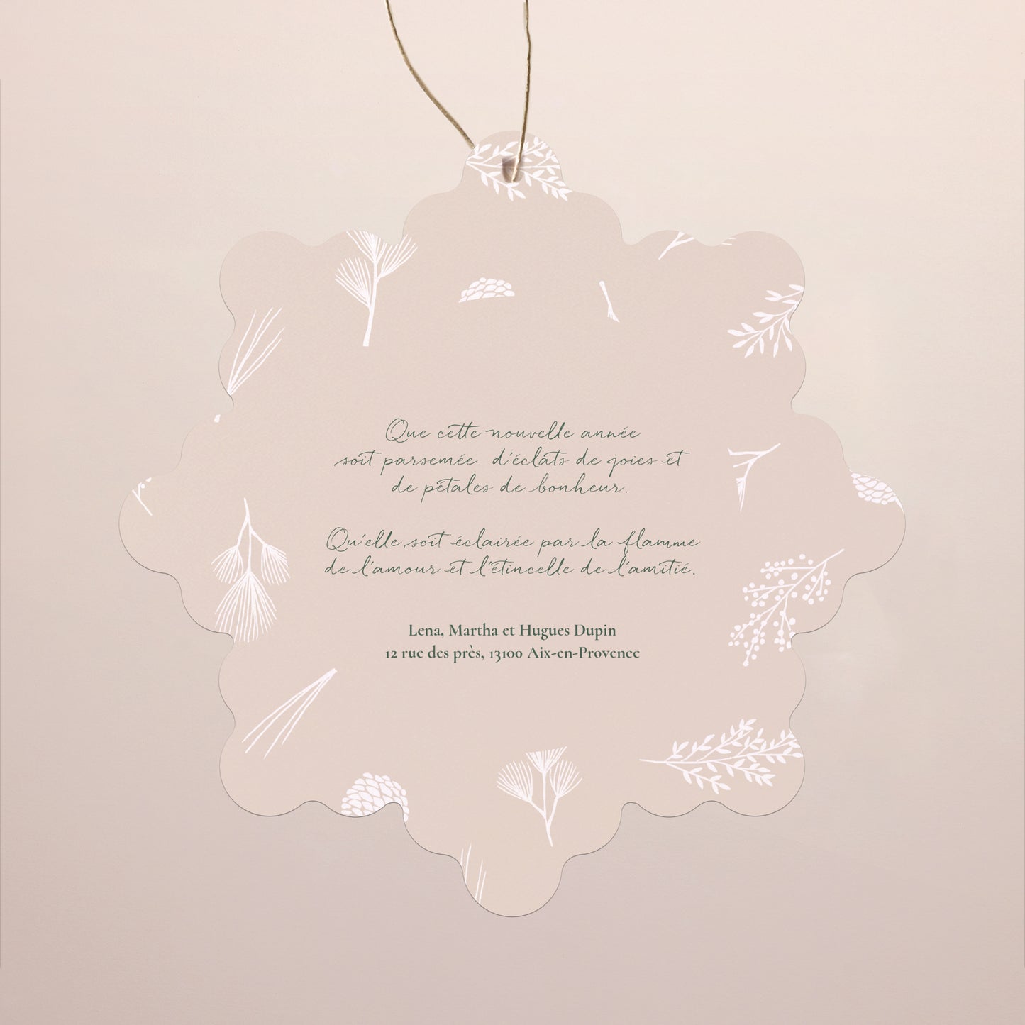 Carte de Noel Fin d'année Flocon à suspendre Tendre Noël photo N° 2