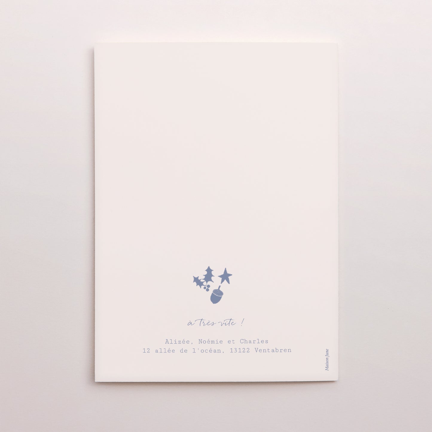 Carte de Noel Fin d'année Portrait double volet composition circulaire noël bleu photo N° 3