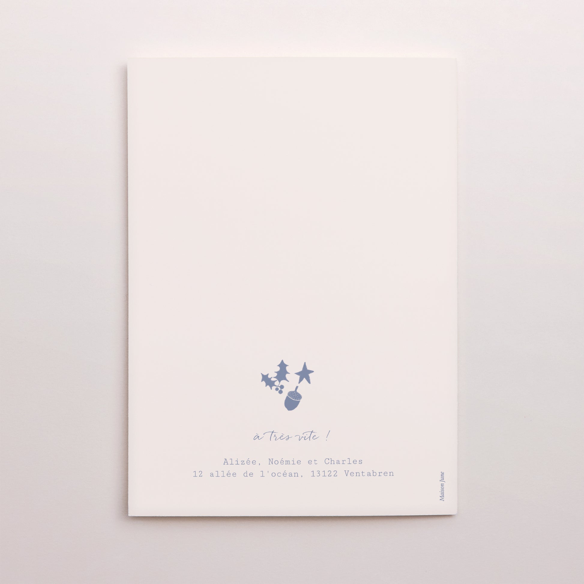 Carte de Noel Fin d'année Portrait double volet composition circulaire noël bleu photo N° 3