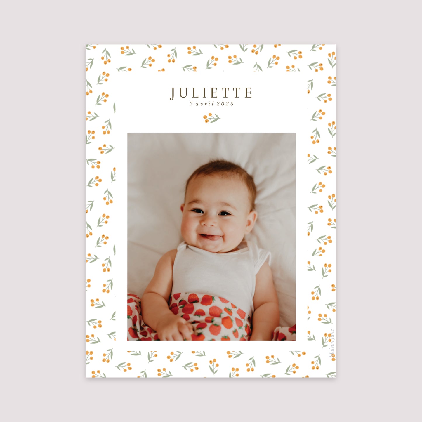 Affiche Naissance Portrait 30 x 40 cm Poussin & motifs photo N° 2