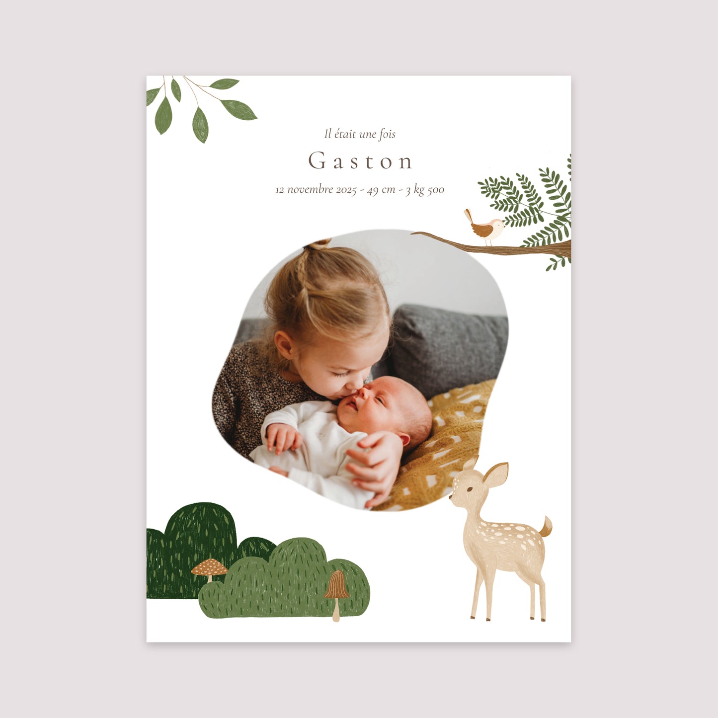 Affiche Naissance Portrait 30 x 40 cm Il était une fois les animaux de la forêt photo N° 2