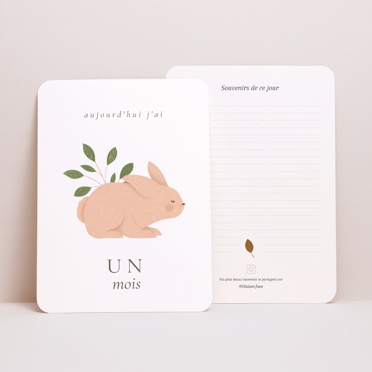 Carte étape bébé Naissance Lot de 12 Il était une fois les animaux de la forêt photo N° 4