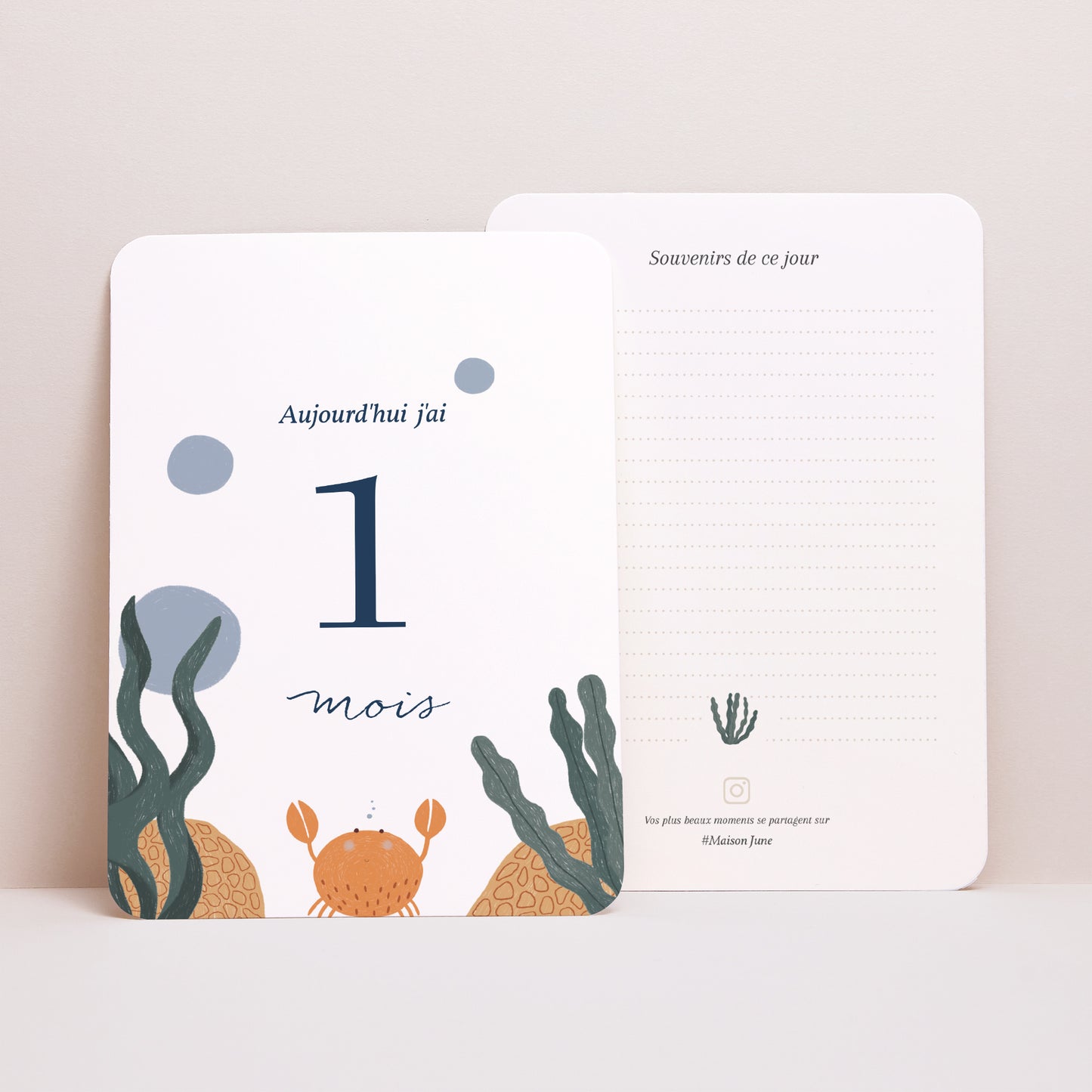 Carte étape bébé Naissance Lot de 12 Il était une fois les animaux marins photo N° 4