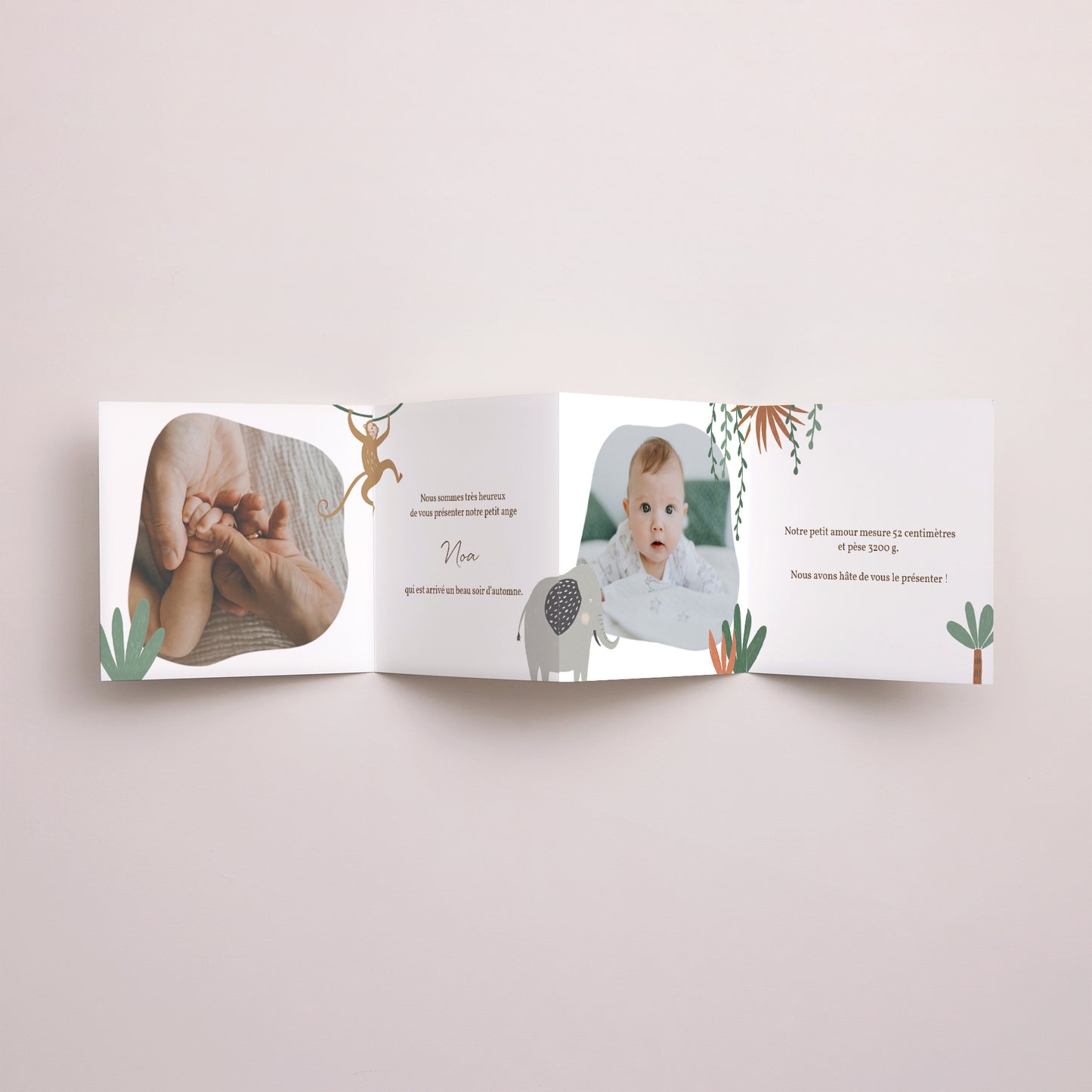 Faire-part Naissance Accordéon Les Animaux d'Afrique II photo N° 3