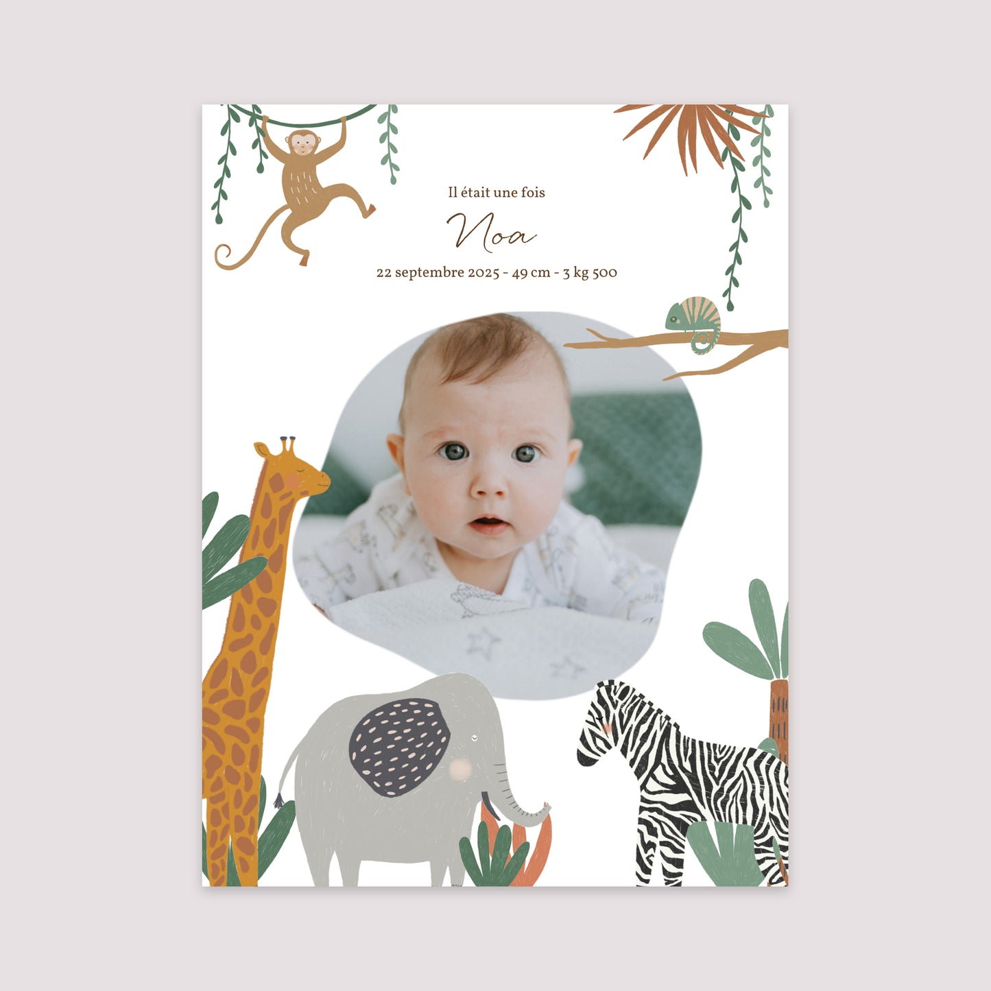 Affiche Naissance Portrait 30 x 40 cm Les Animaux d'Afrique II photo N° 2