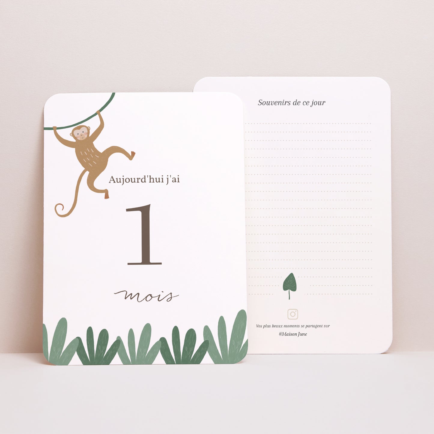 Carte étape bébé Naissance Lot de 12 Les Animaux d'Afrique II photo N° 4