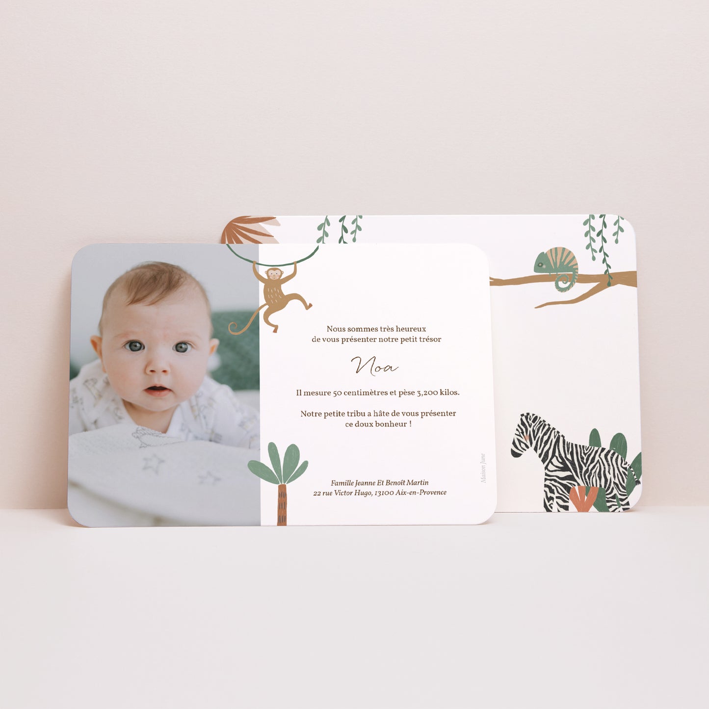 Faire-part Naissance Paysage, bords arrondis Les Animaux d'Afrique II photo N° 3