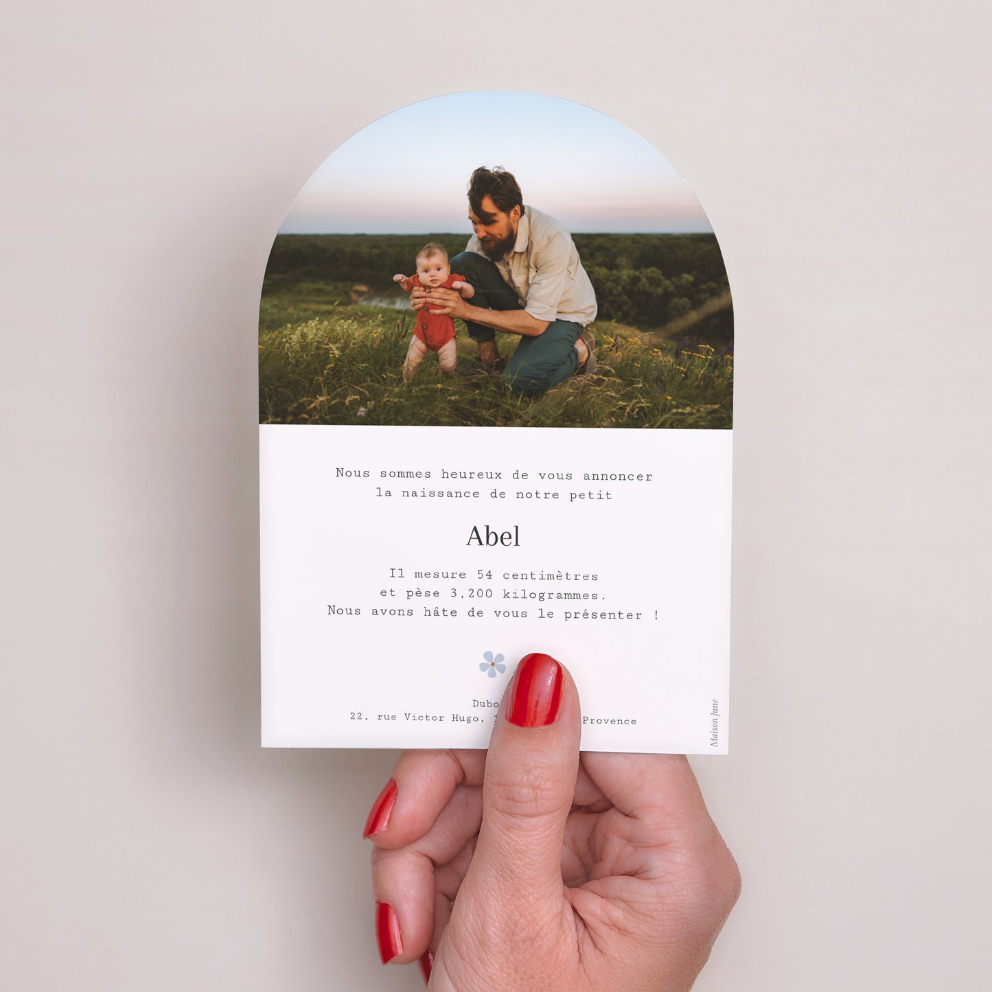 Faire-part Naissance Petite arche Le voyage de la cigogne II photo N° 3