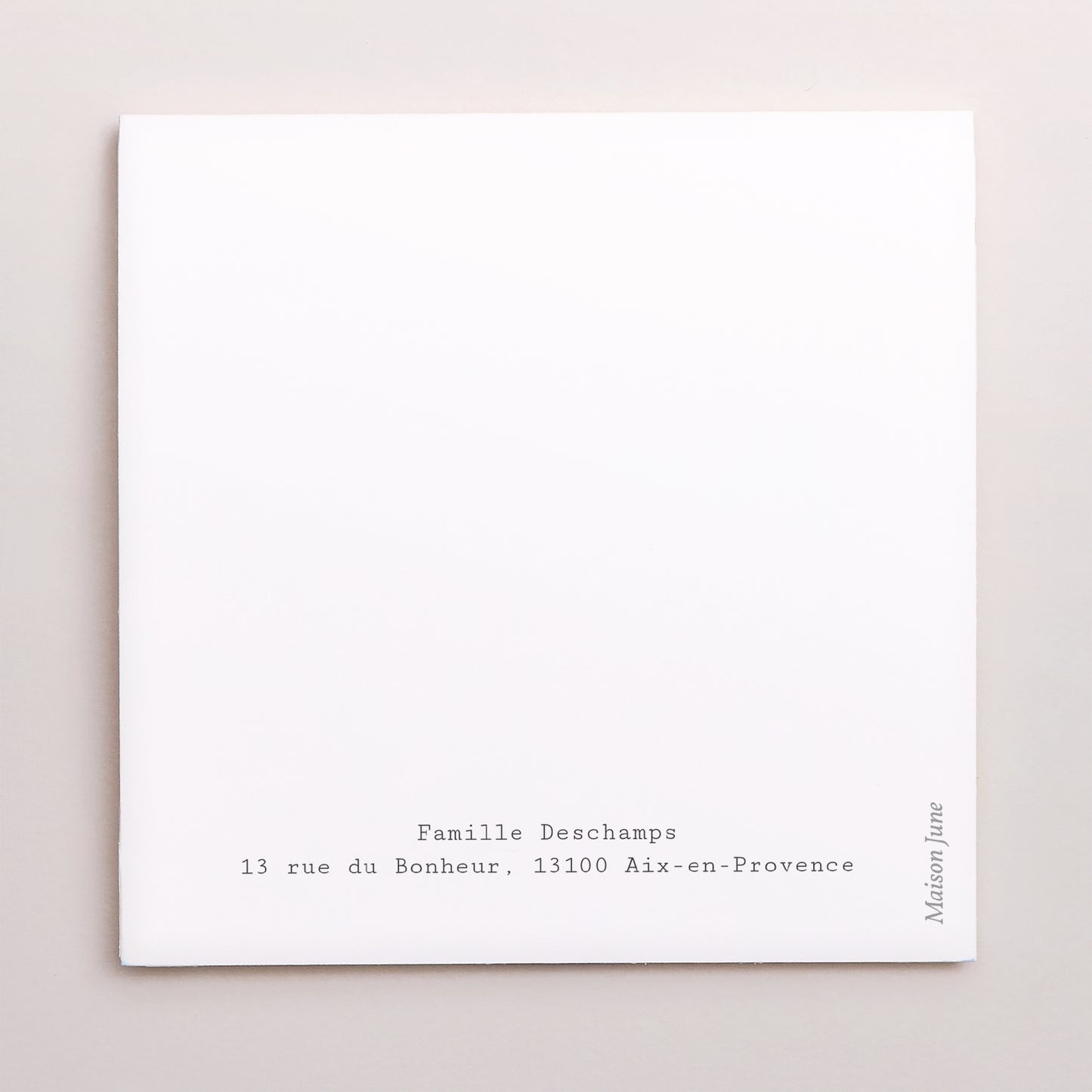 Remerciements Naissance Carré double volet demi-lune Le voyage de la cigogne photo N° 3