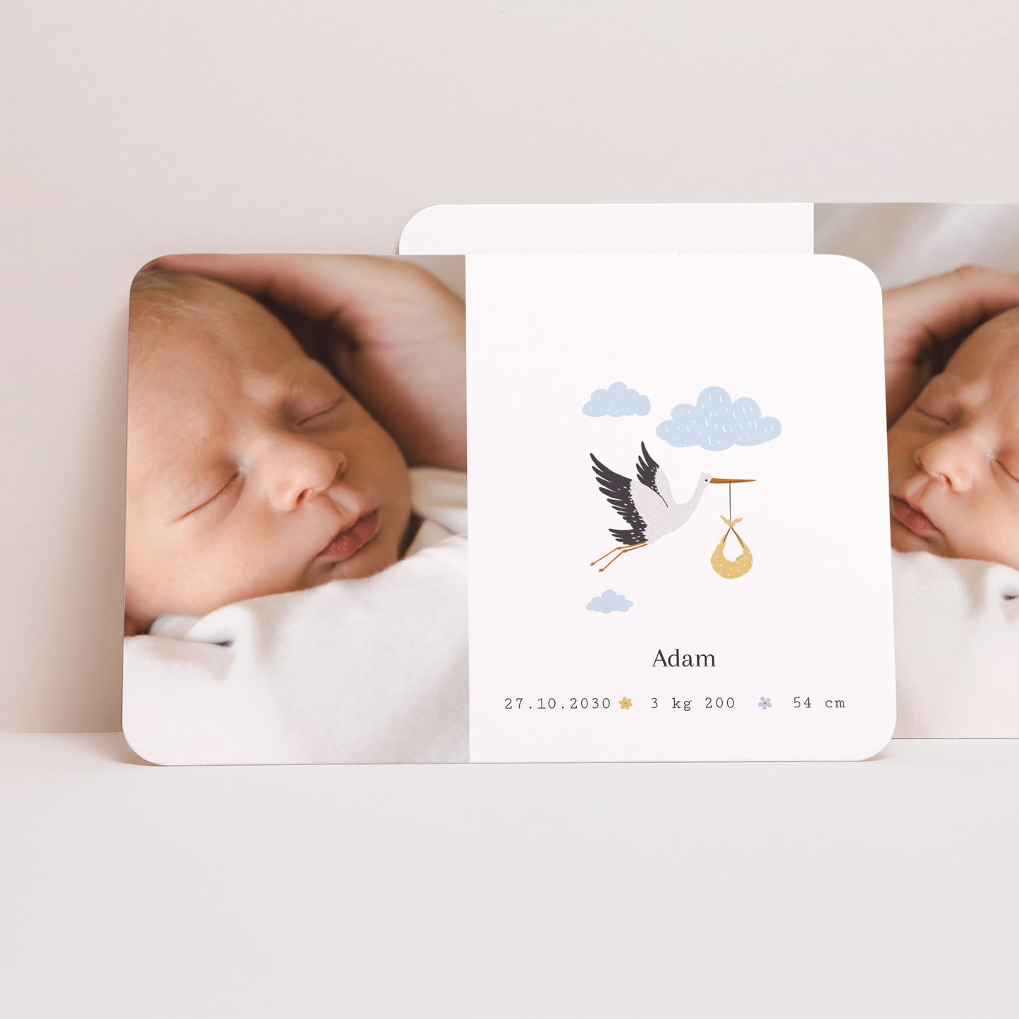 Faire-part Naissance Paysage, bords arrondis Le voyage de la cigogne photo N° 1