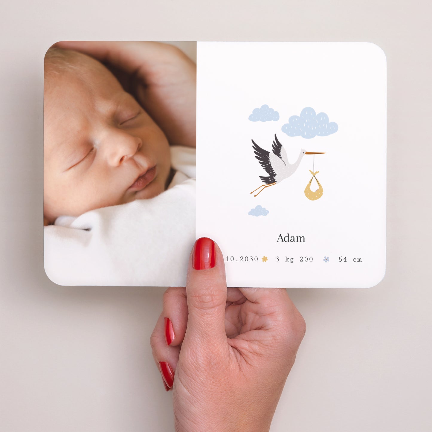 Faire-part Naissance Paysage, bords arrondis Le voyage de la cigogne II photo N° 3