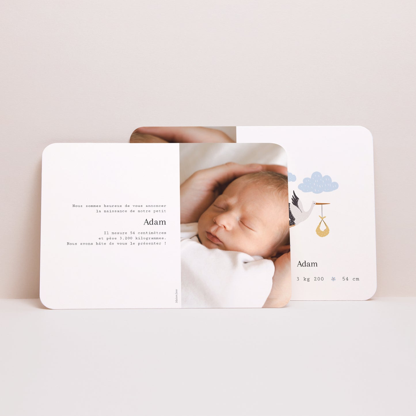 Faire-part Naissance Paysage, bords arrondis Le voyage de la cigogne II photo N° 3