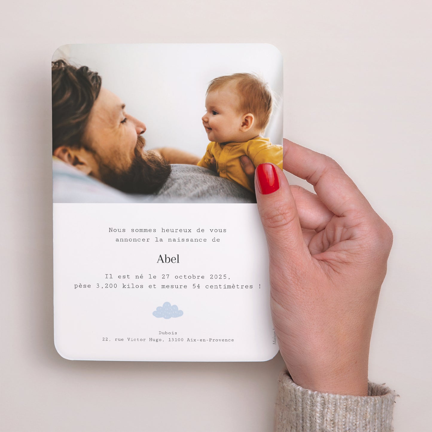 Faire-part Naissance Portrait, bords arrondis Le voyage de la cigogne II photo N° 3