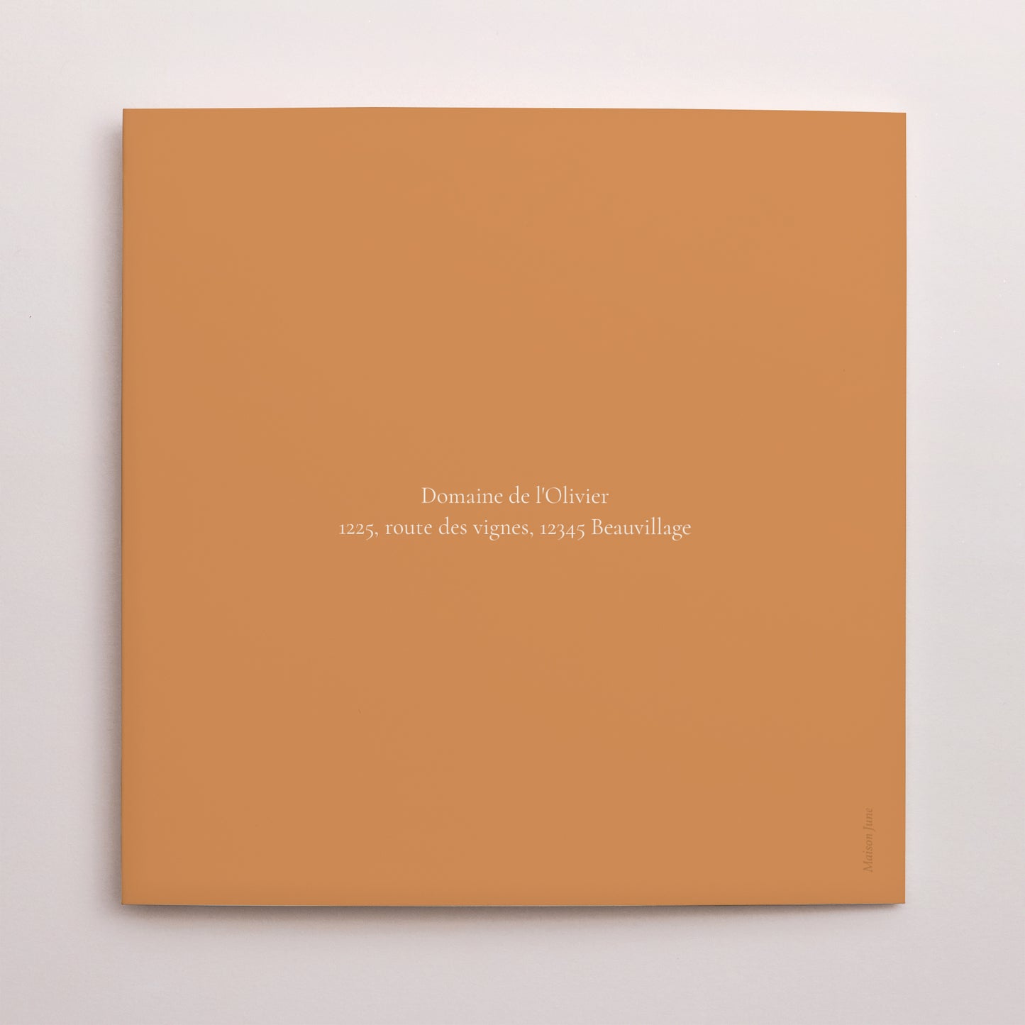 Faire-part Mariage Carré double volet Bibemus typographie photo N° 3