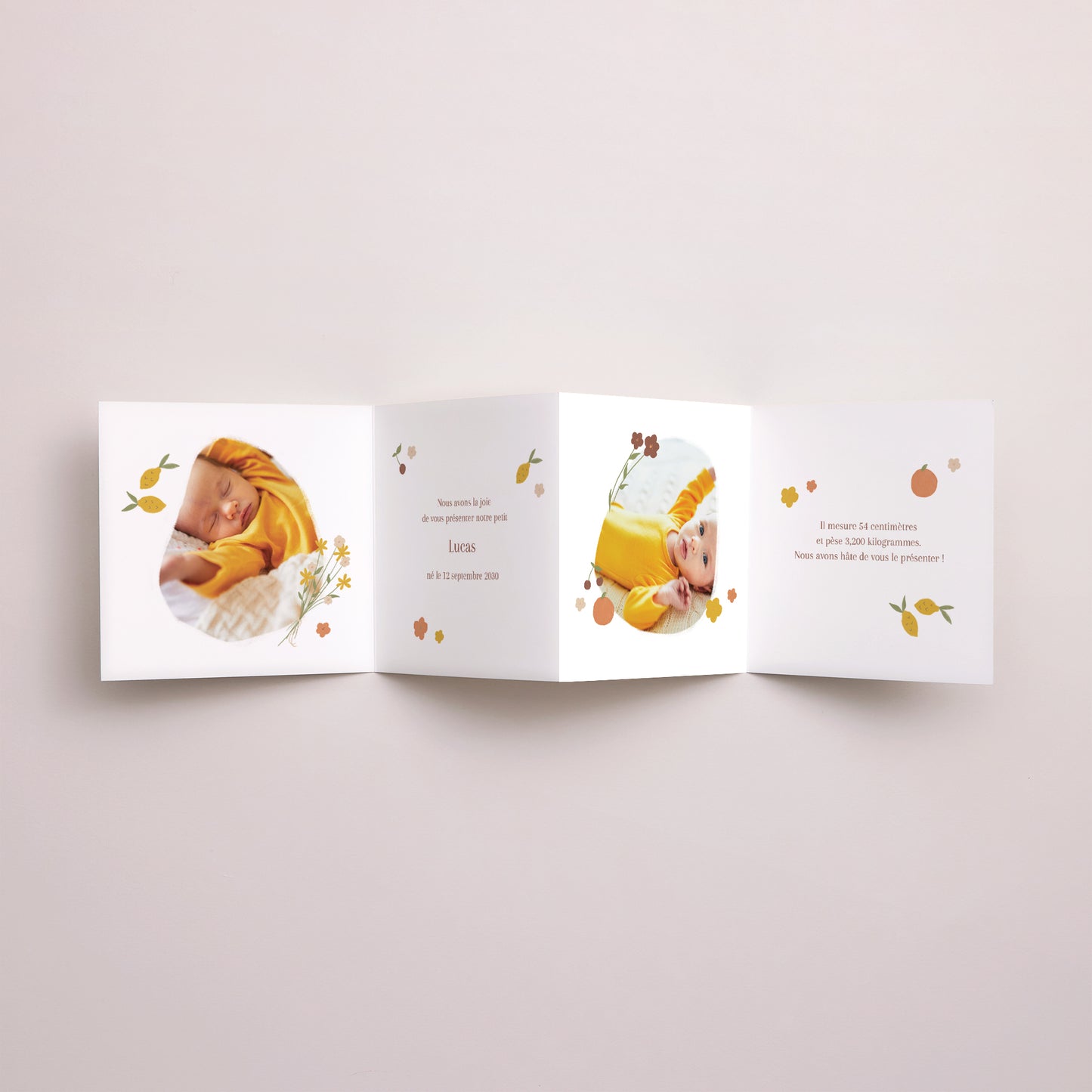 Faire-part Naissance Accordéon Petits pas au marché photo N° 3