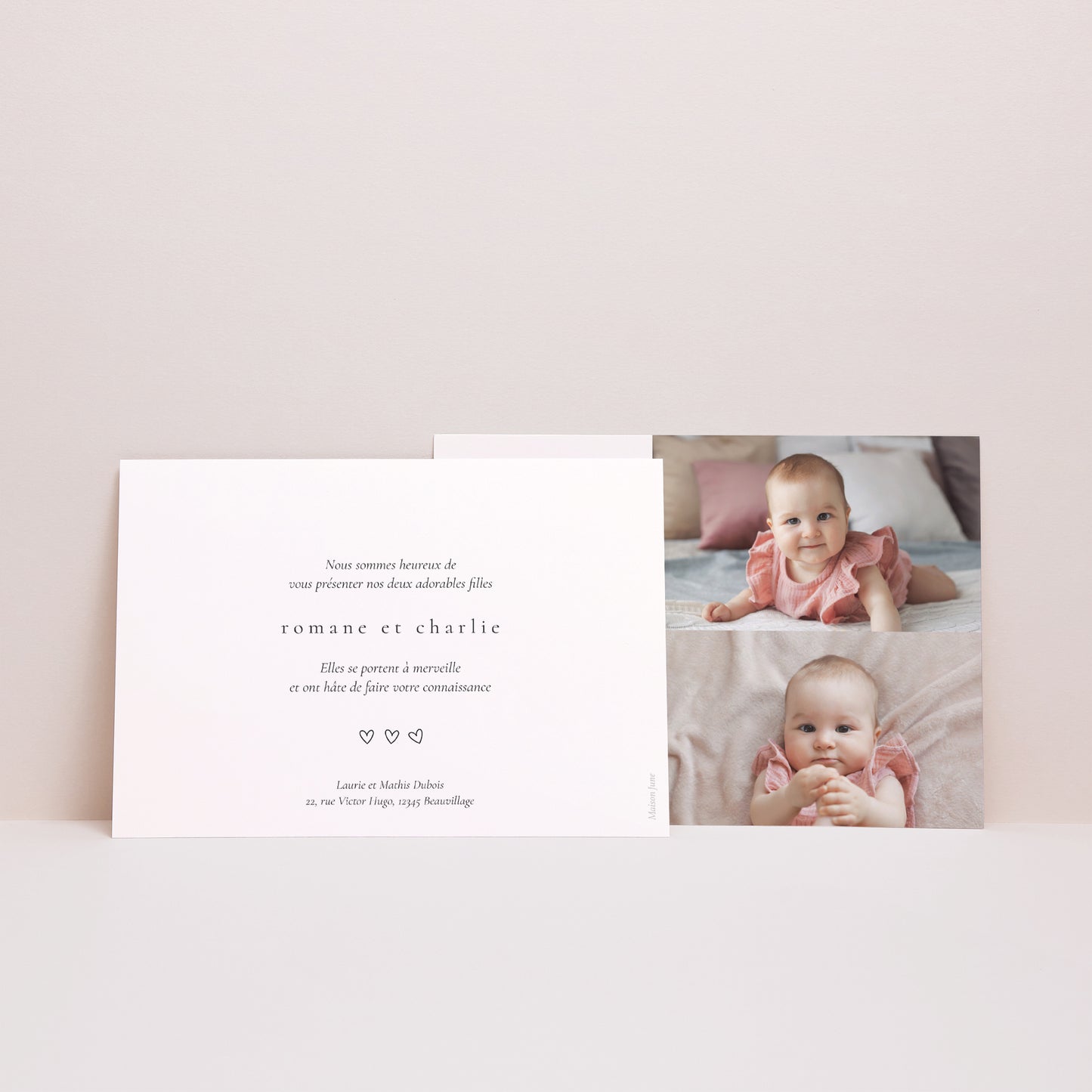 Faire-part Naissance Paysage Deux petits lapins photo N° 2