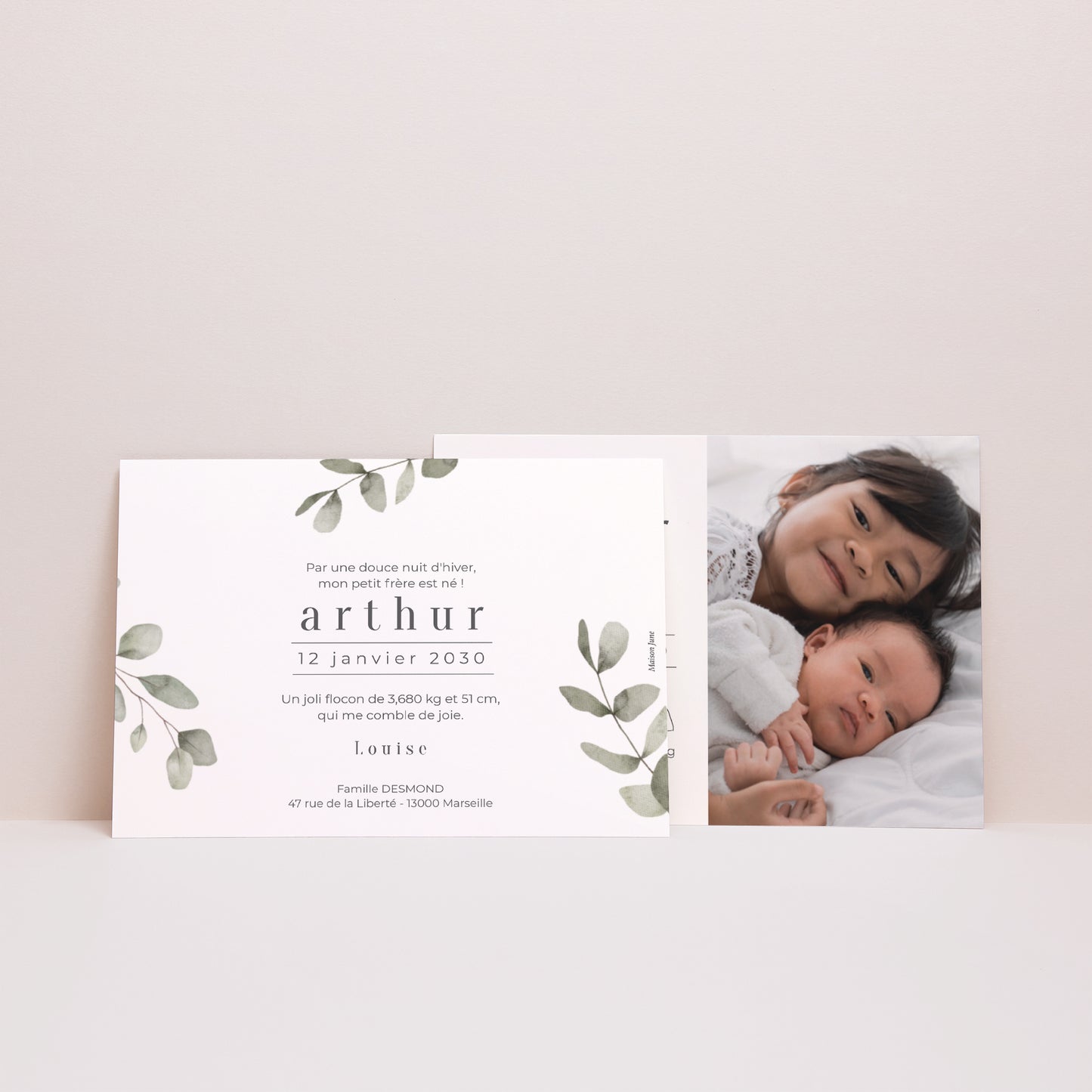 Faire-part Naissance Paysage Tendre Eucalyptus photo N° 3