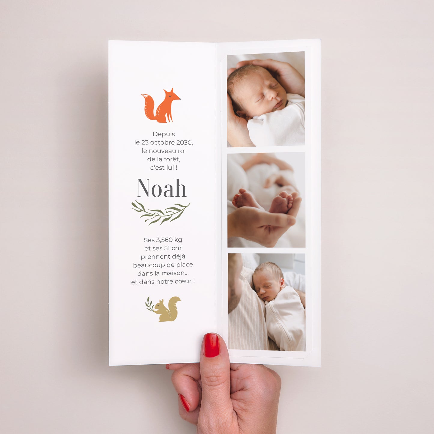 Faire-part Naissance Marque-page photo Promenons-nous dans les bois II photo N° 2