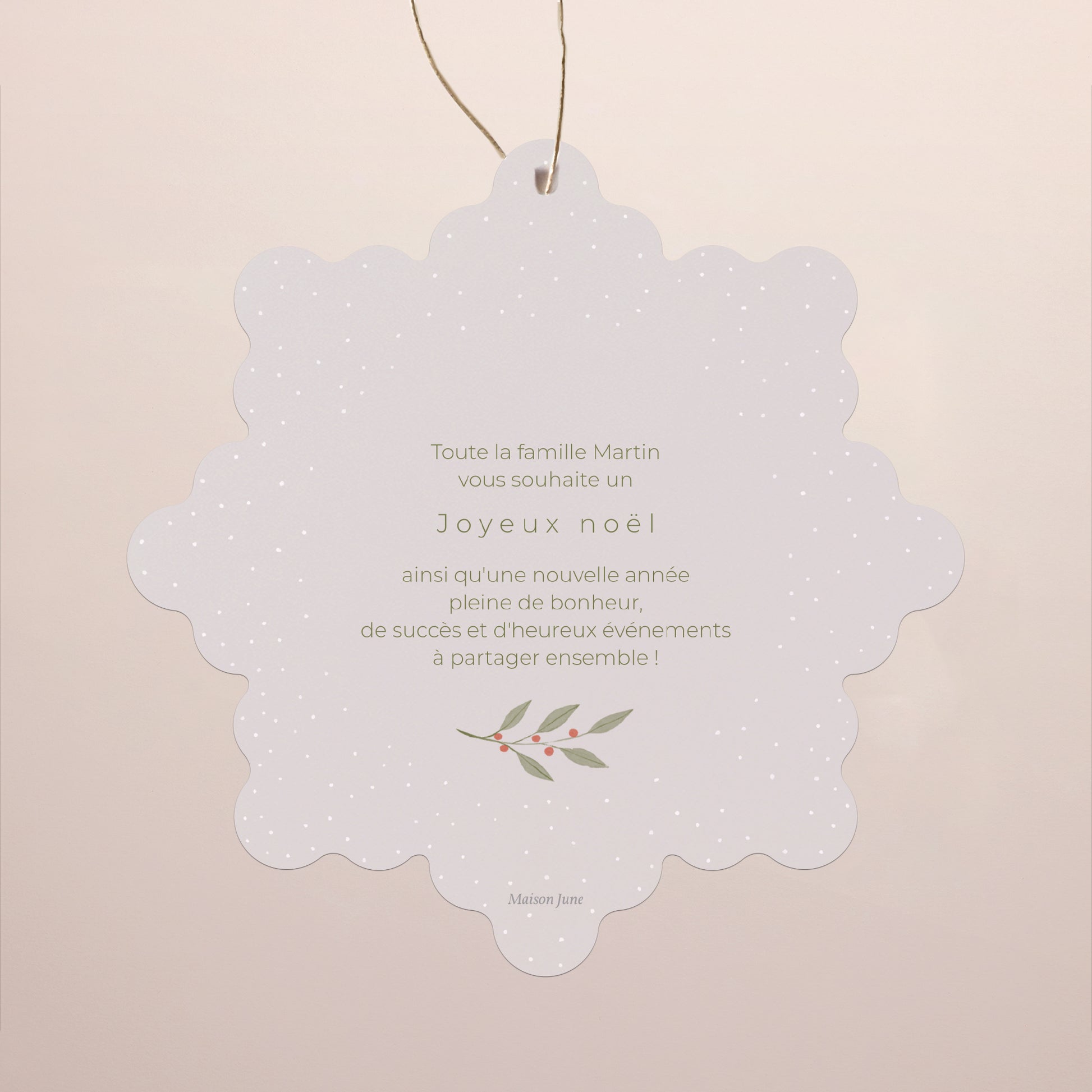 Carte de Noel Fin d'année Flocon à suspendre brins et flocon photo N° 2