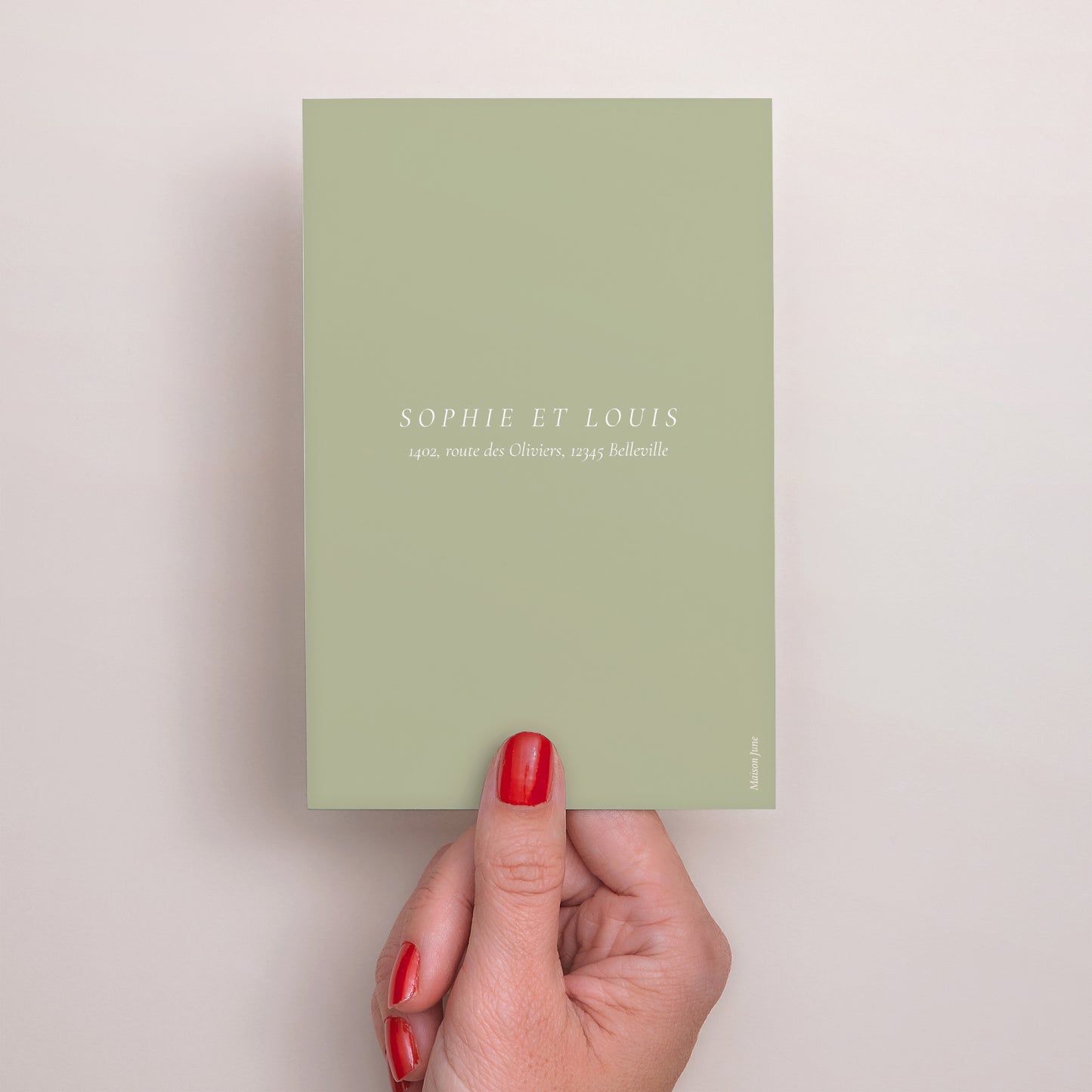 Save the date Mariage Portrait Brin romantique III photo N° 3