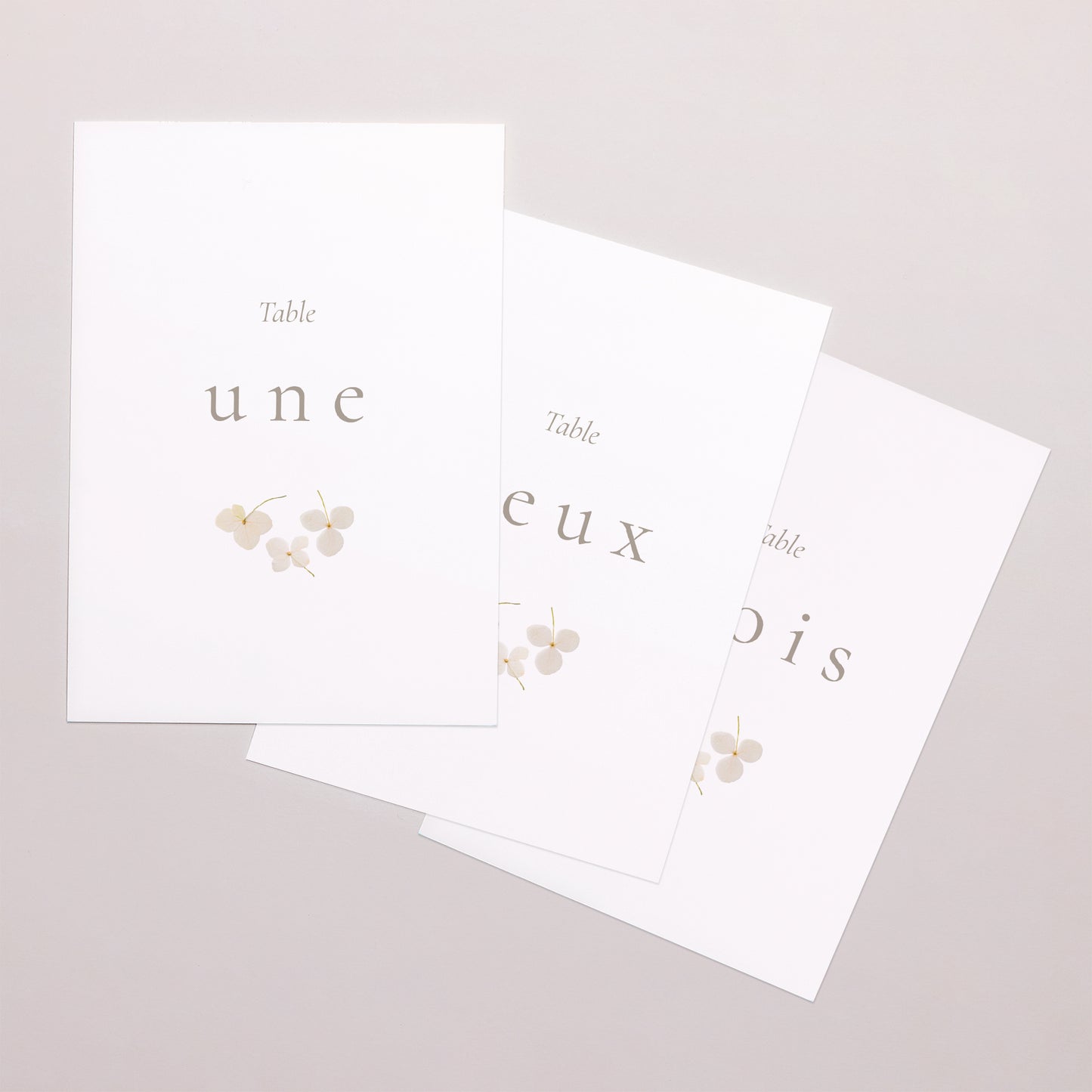 Marque table Mariage Rectangle Fleurs séchées blanches photo N° 1