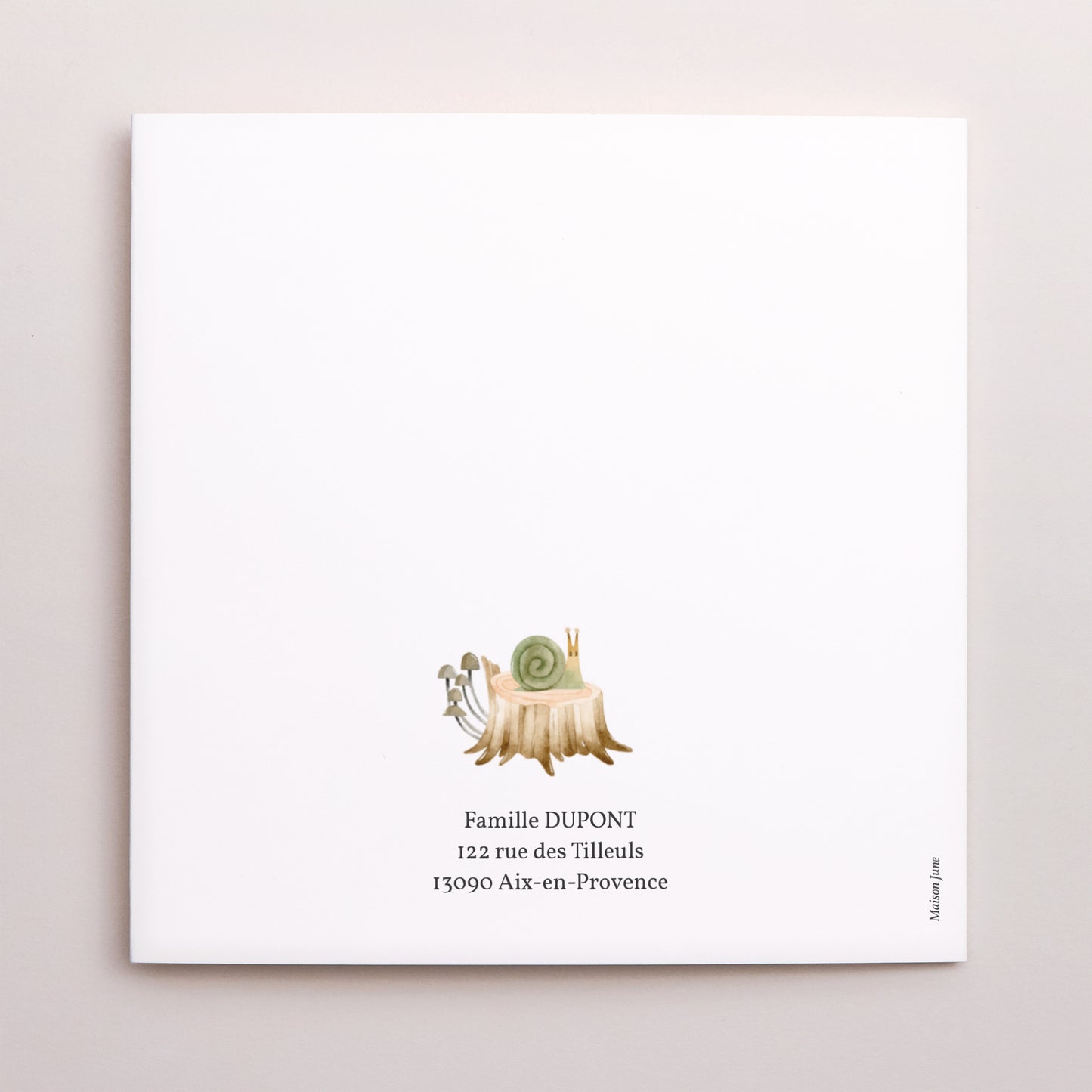 Faire-part Naissance Carré double volet, animaux à coller Les animaux de la forêt photo N° 5