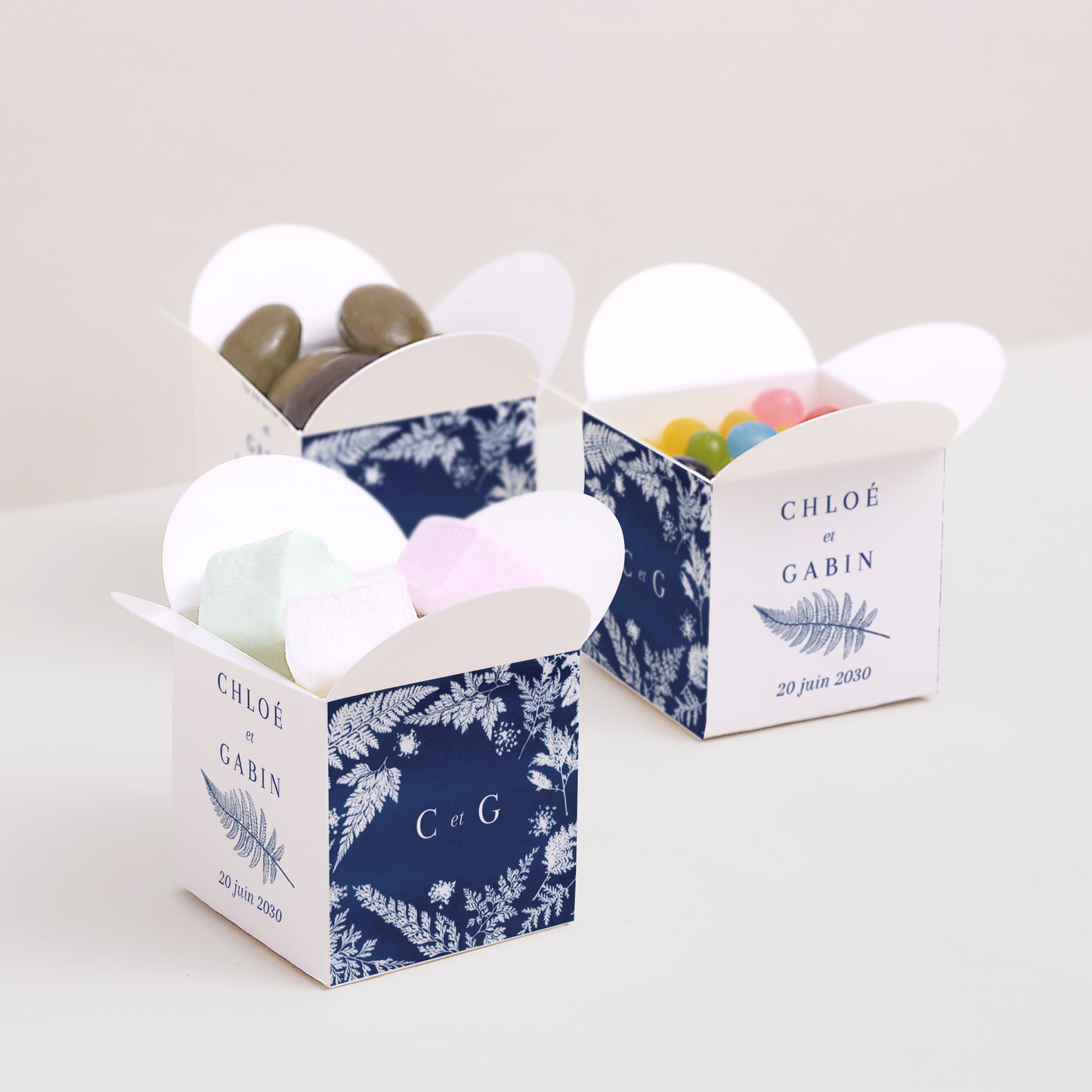 Boîte à dragées Mariage Ouverture papillon Cyanotype II photo N° 3