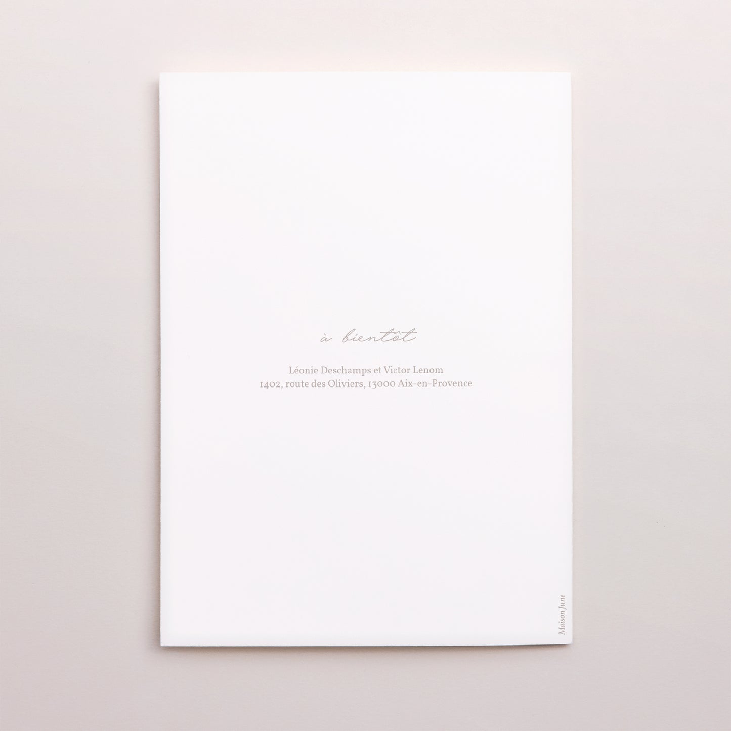 Remerciements Mariage Portrait double volet Typo script photo II photo N° 3