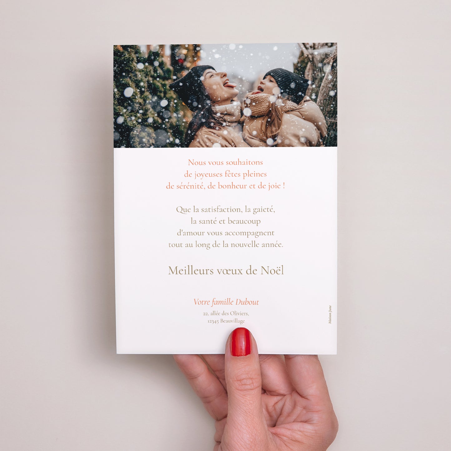 Carte de voeux Fin d'année Portrait Minnesota photo N° 3