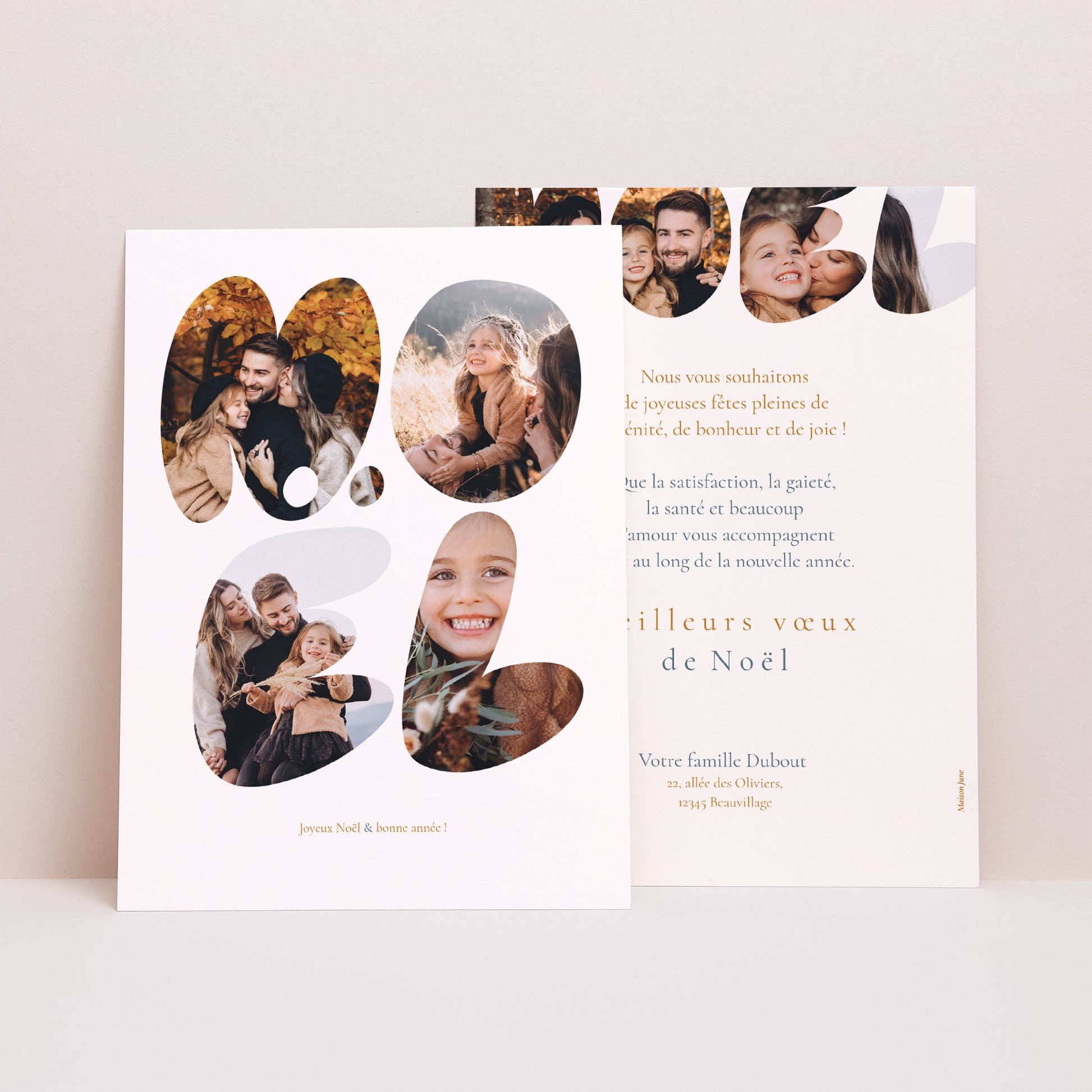 Carte de Noel Fin d'année Portrait Illinois photo N° 1