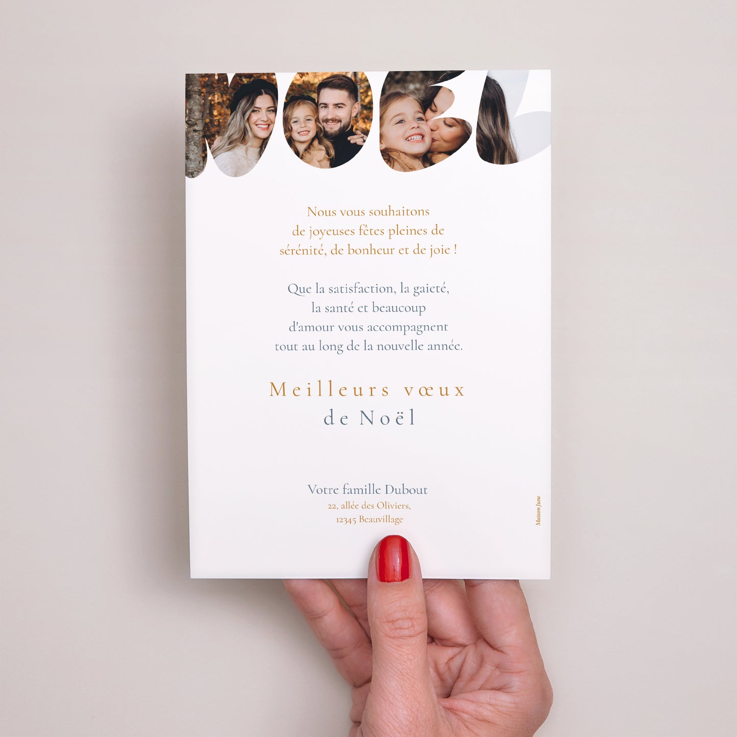 Carte de Noel Fin d'année Portrait Illinois photo N° 3