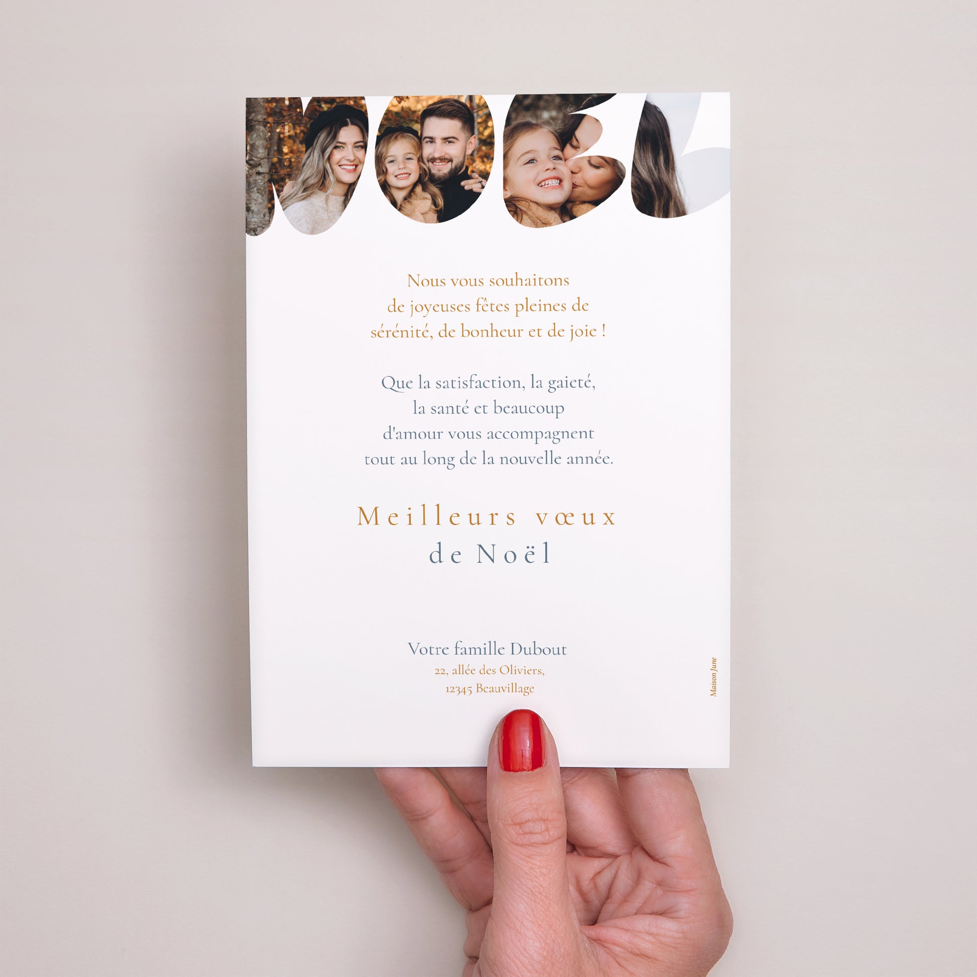 Carte de Noel Fin d'année Portrait Illinois photo N° 3