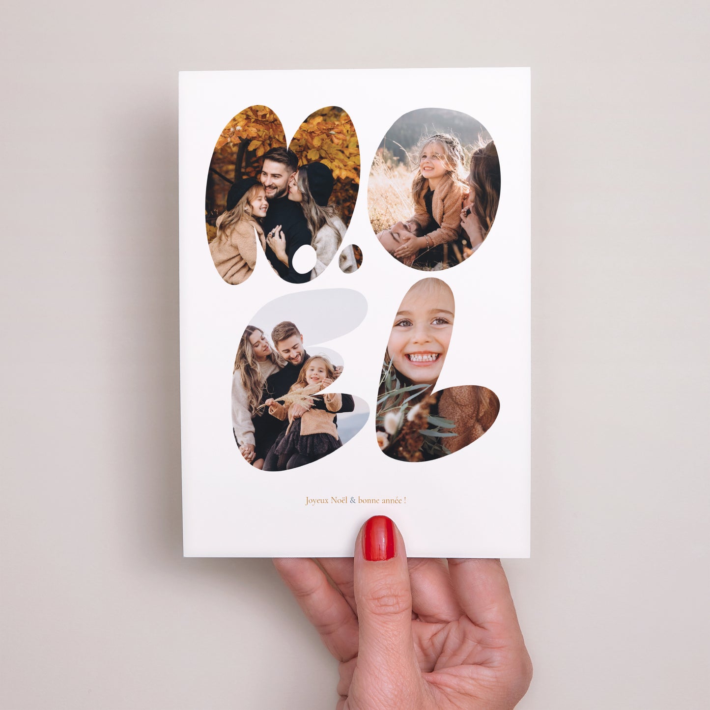 Carte de voeux Fin d'année Portrait Illinois photo N° 2